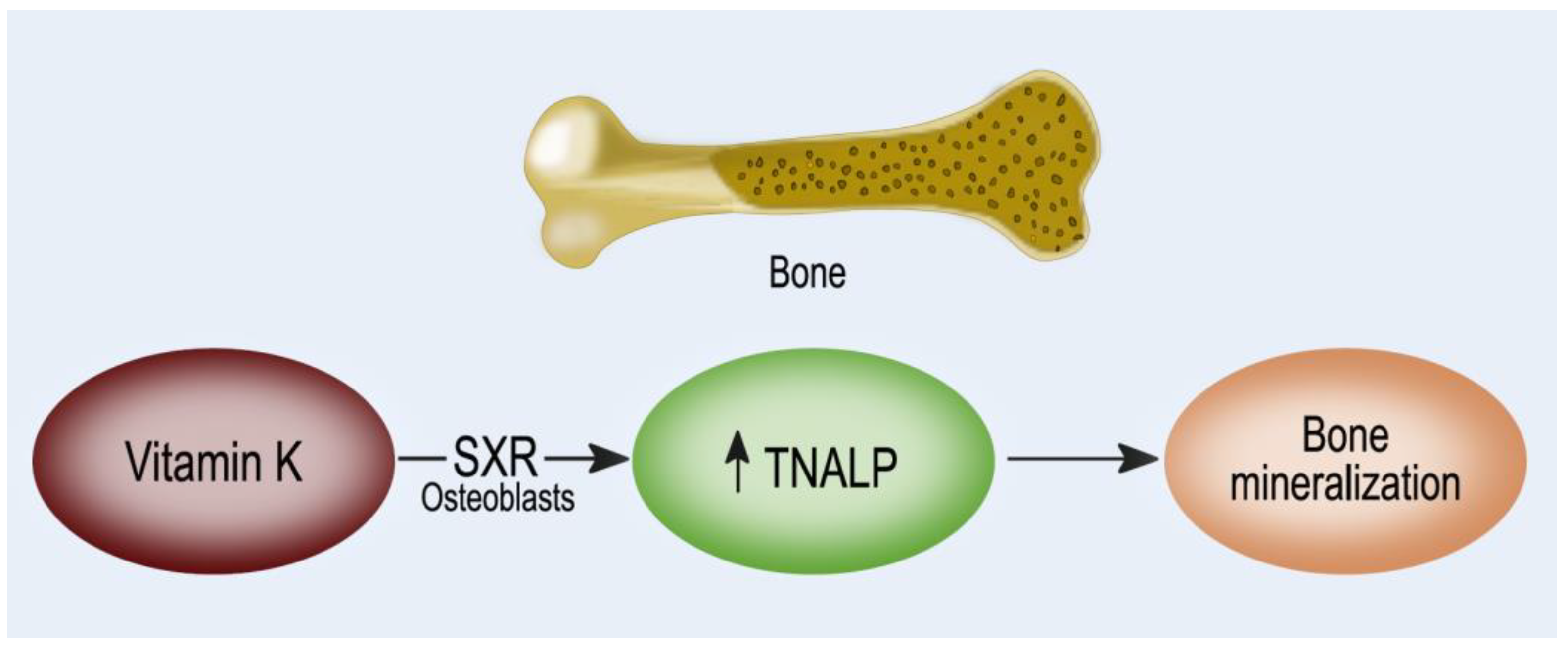 Nutrients 14 02124 g004