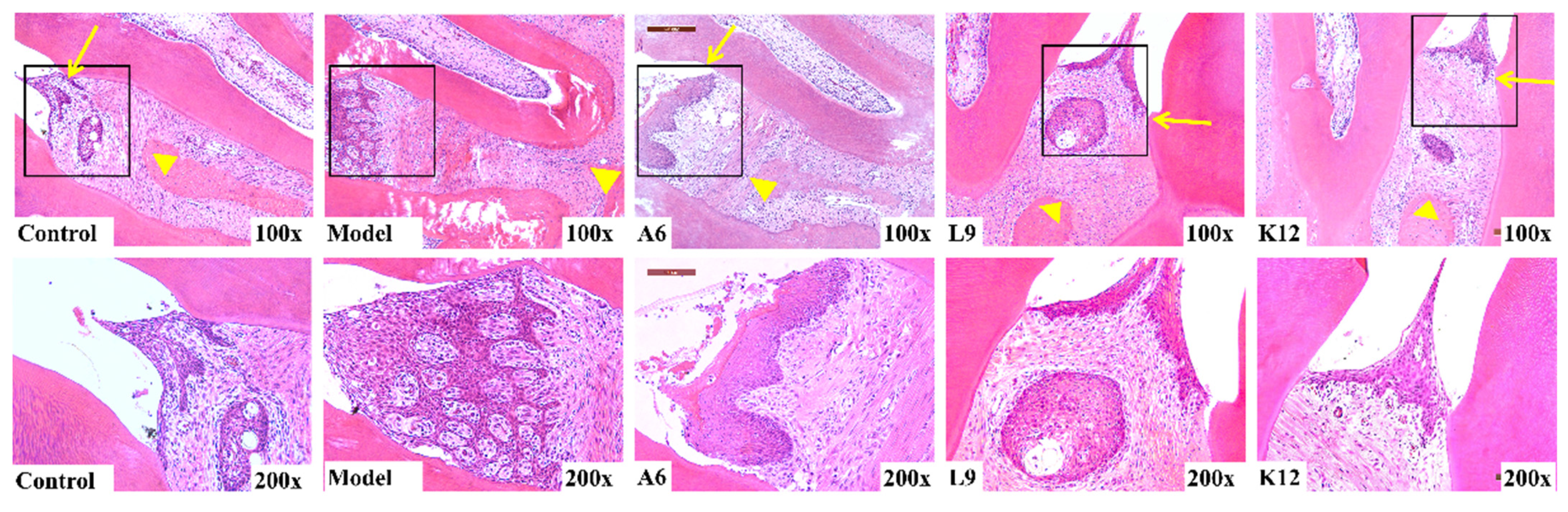 Nutrients 14 02125 g002