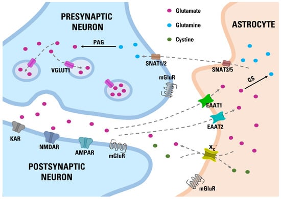Nutrients 14 02184 g001 550