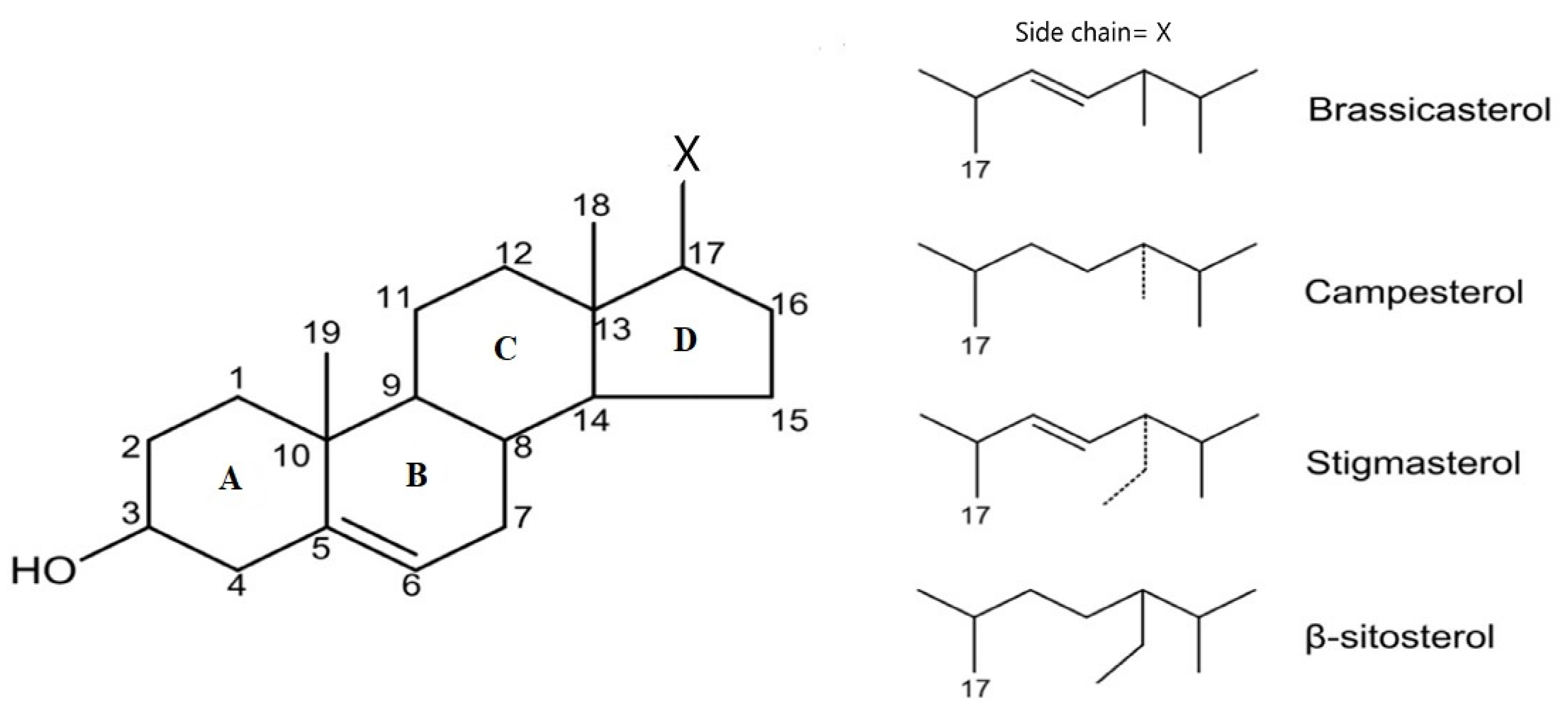 Nutrients 14 02187 g001
