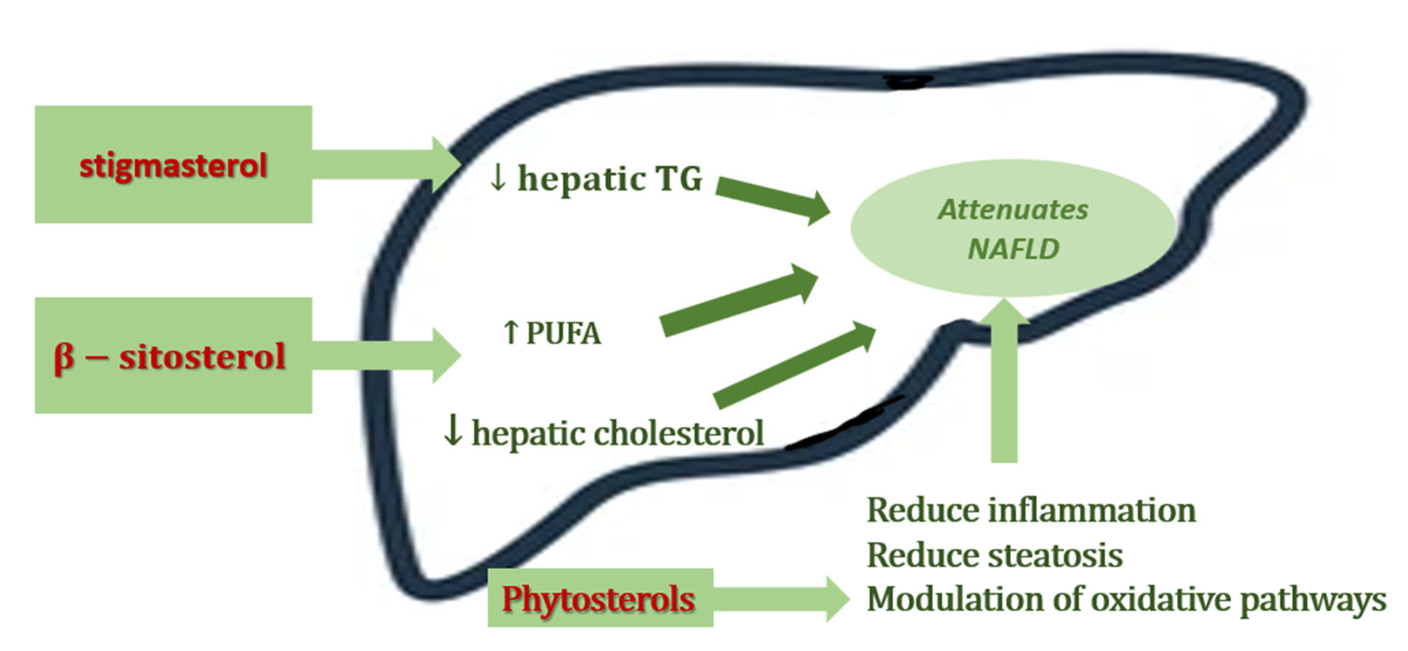 Nutrients 14 02187 g002