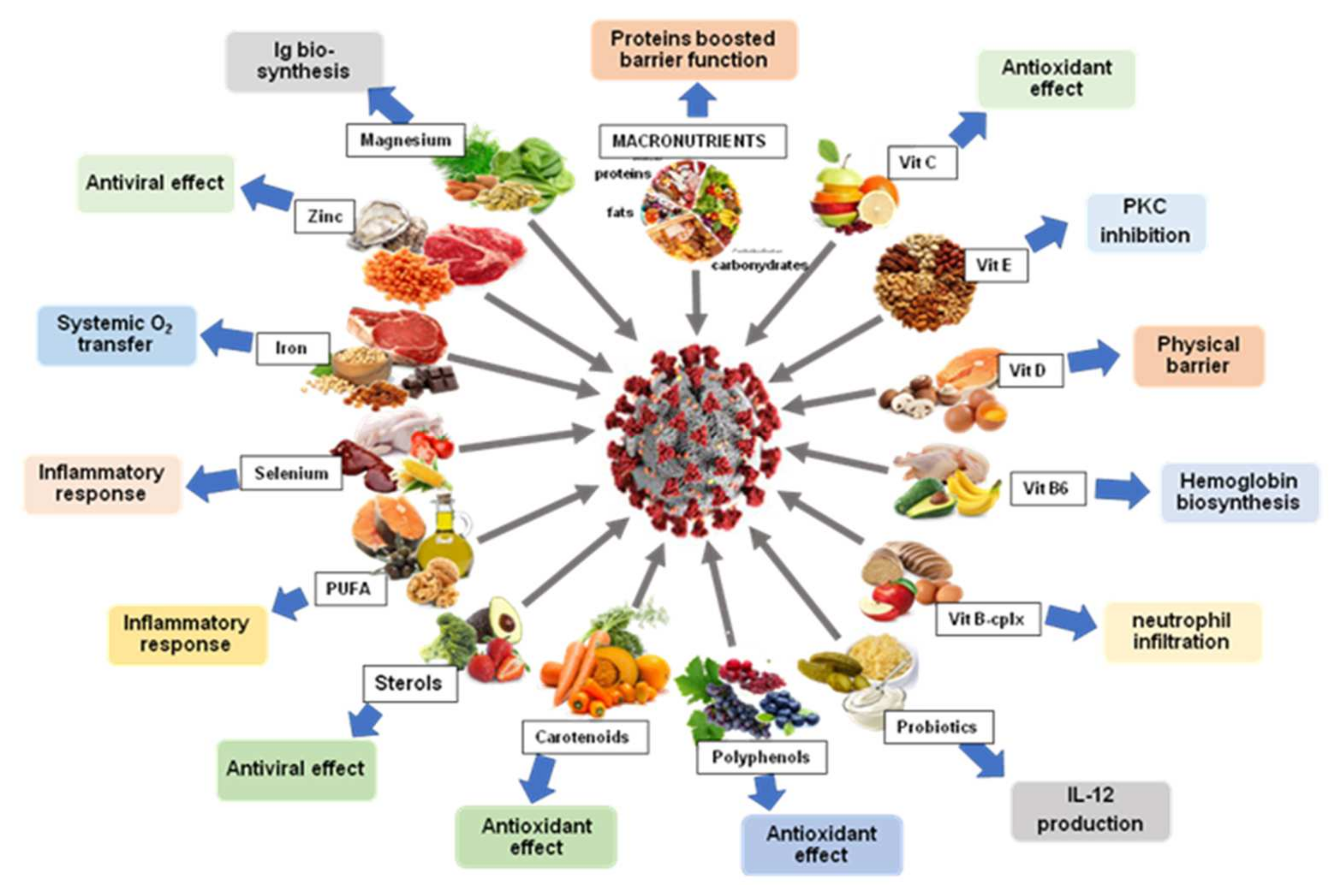 Nutrients 14 02194 g002