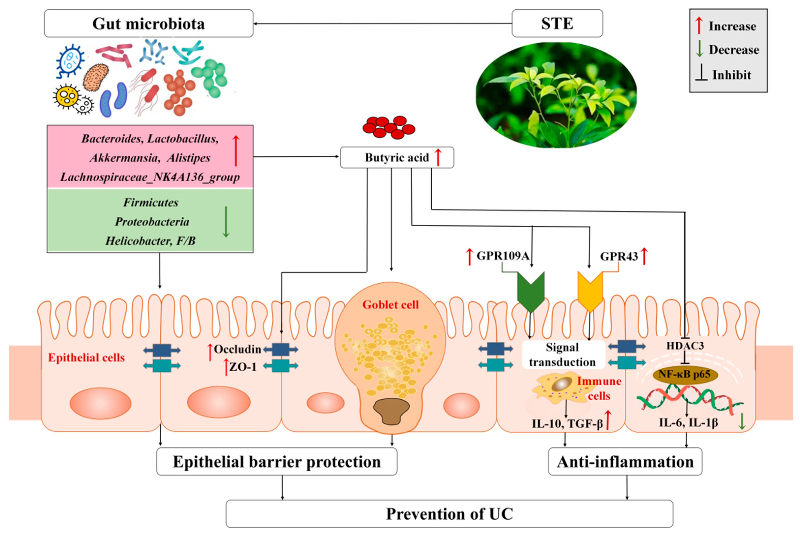 Nutrients 14 02208 g007
