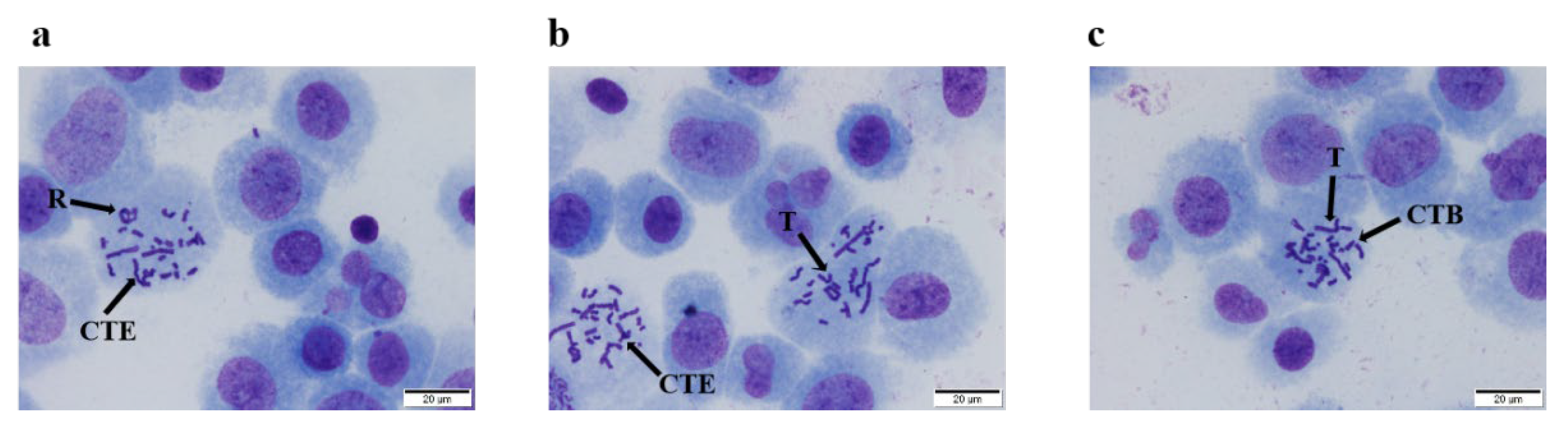 Nutrients 14 02238 g002