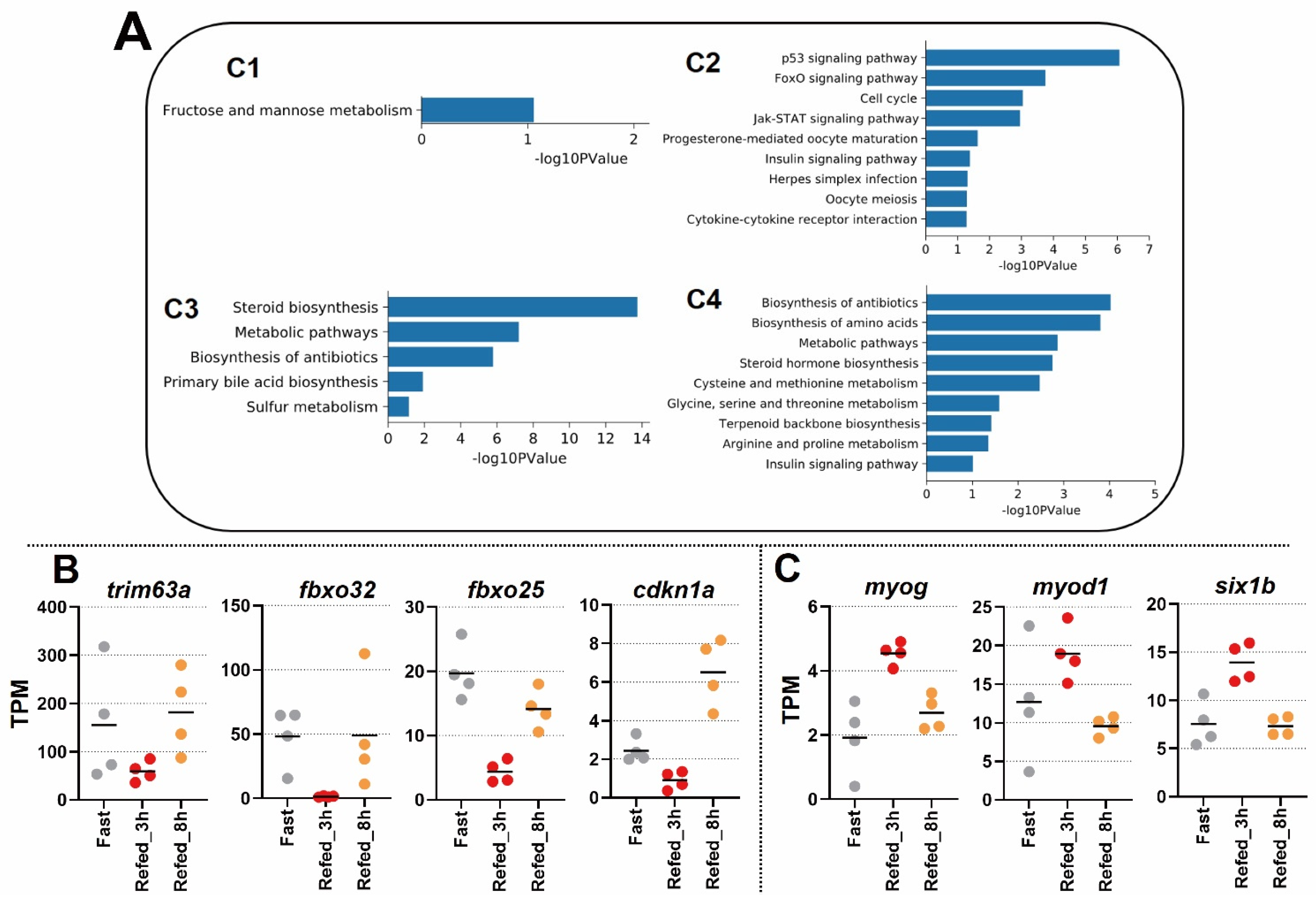 Nutrients 14 02239 g004