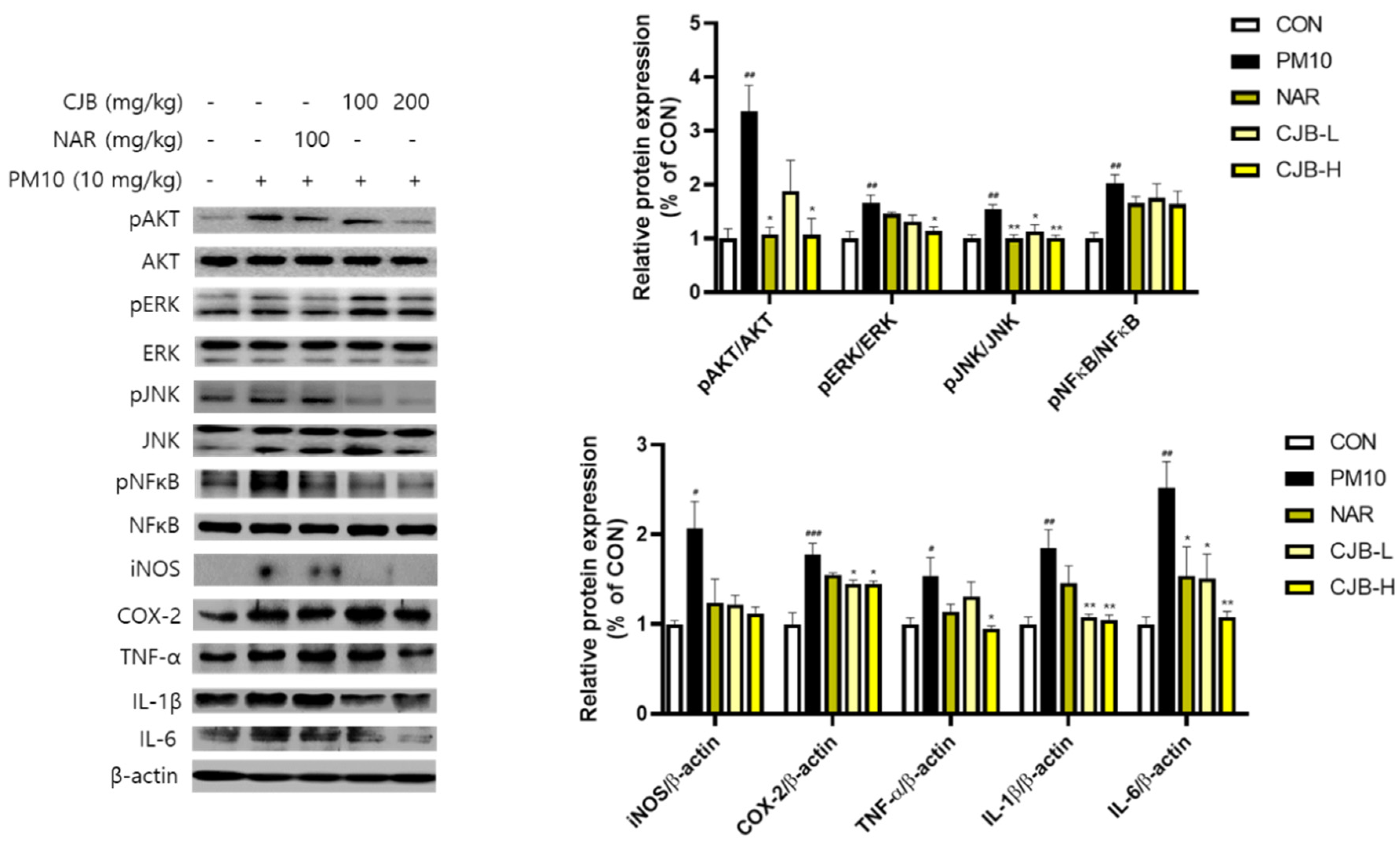 Nutrients 14 02270 g004