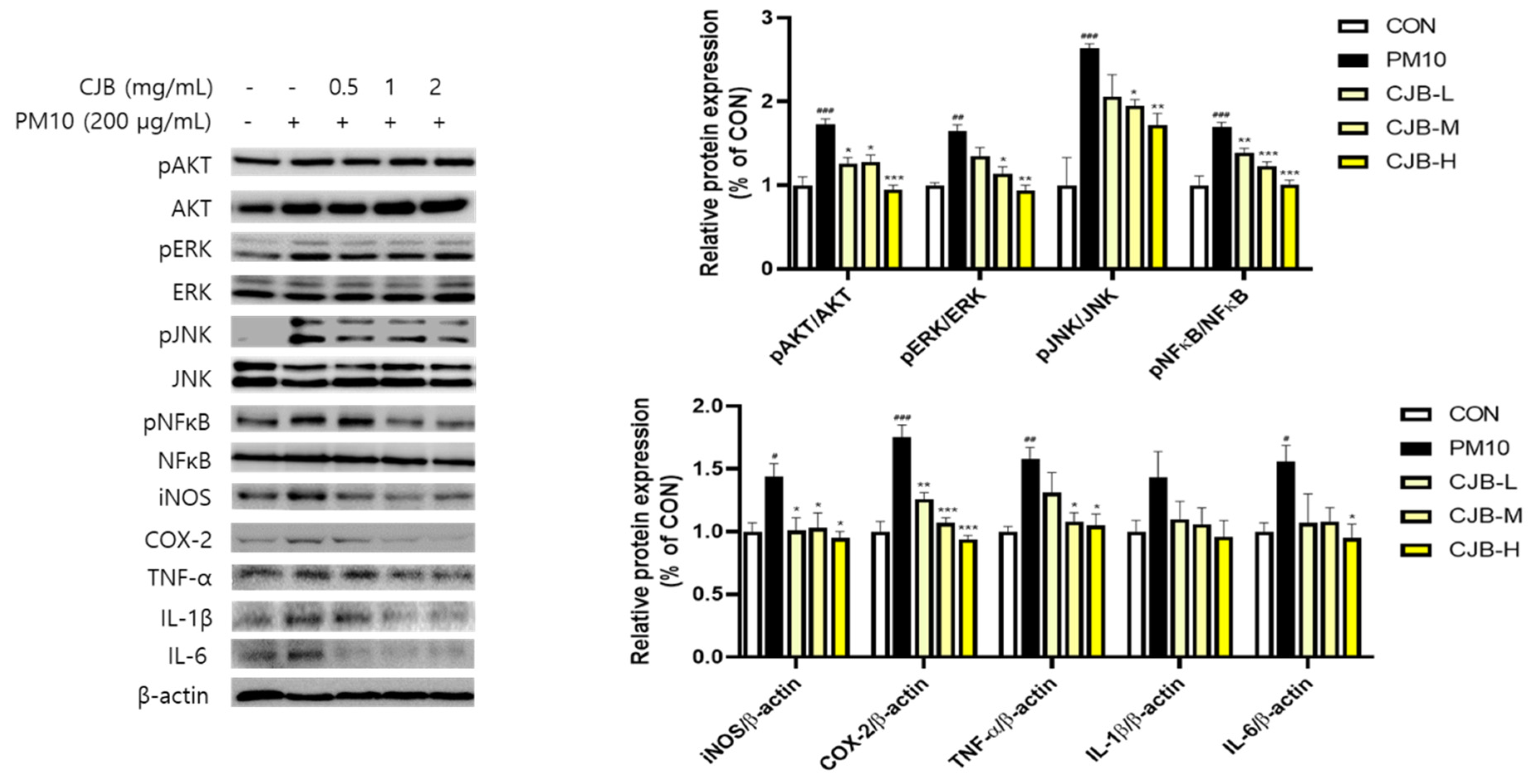 Nutrients 14 02270 g005