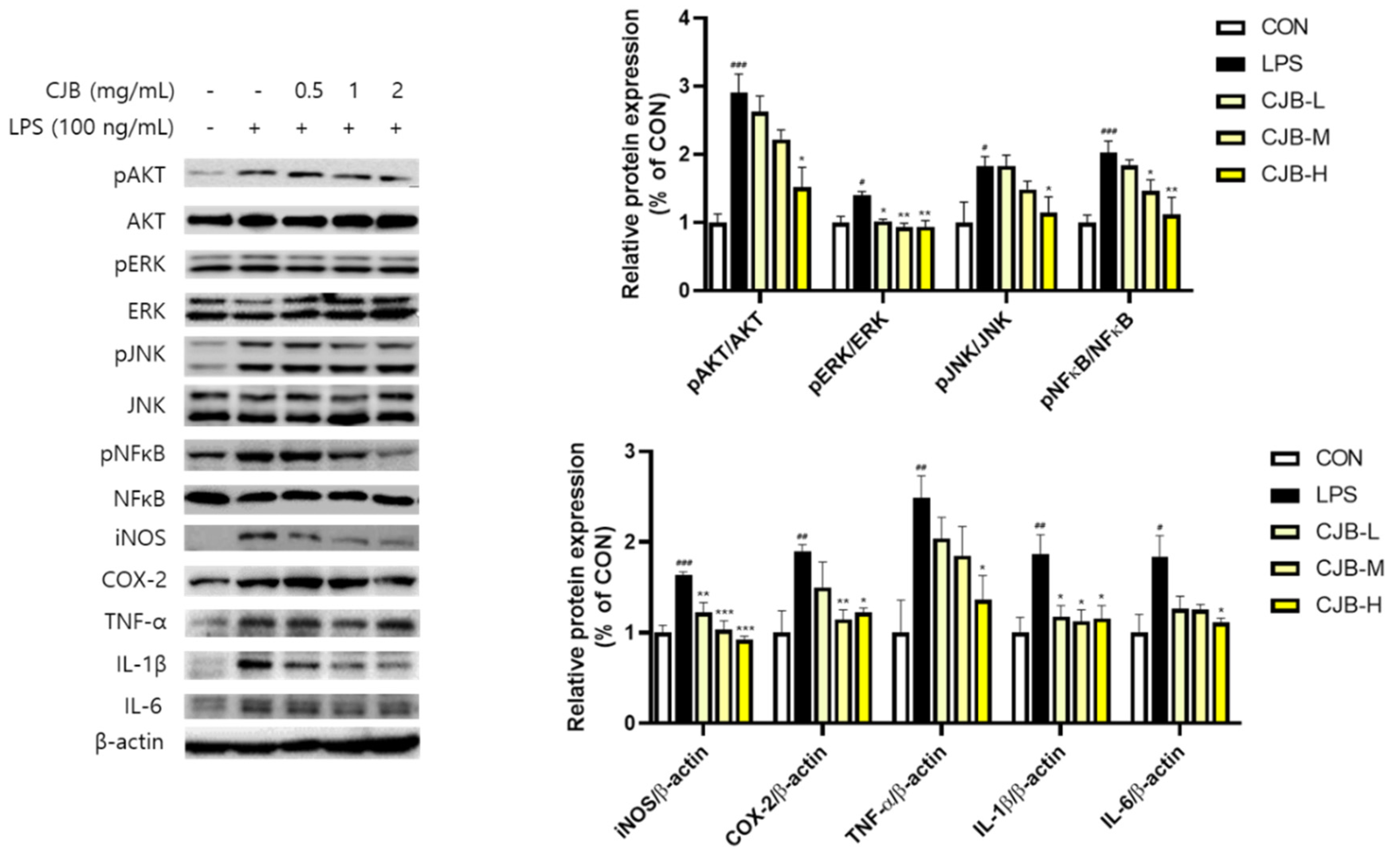 Nutrients 14 02270 g007