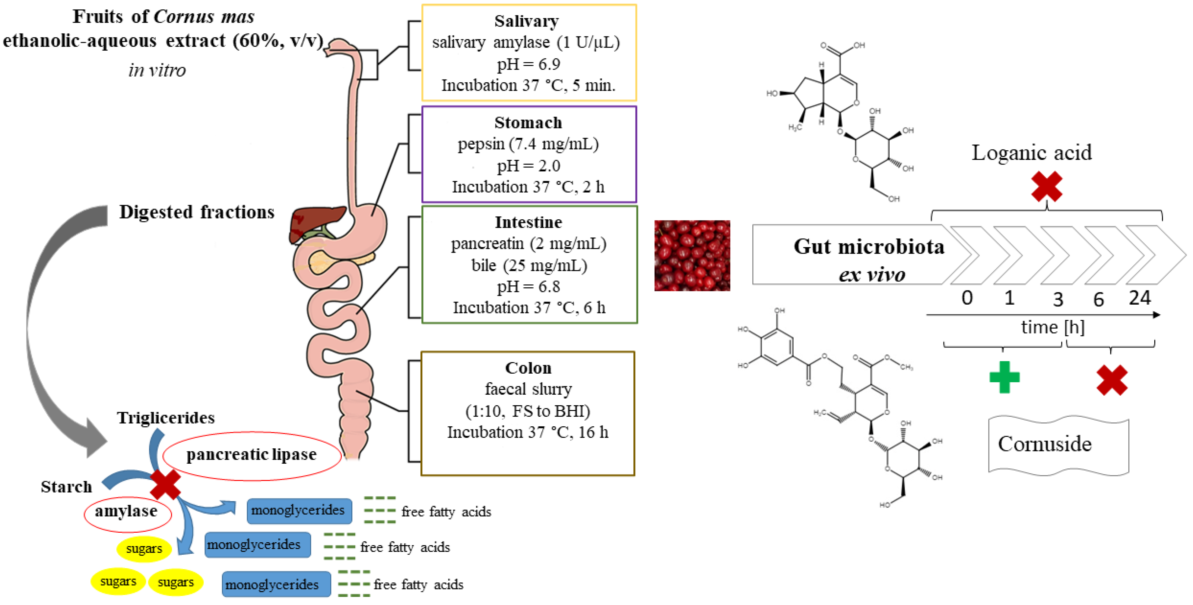 Nutrients 14 02287 g001