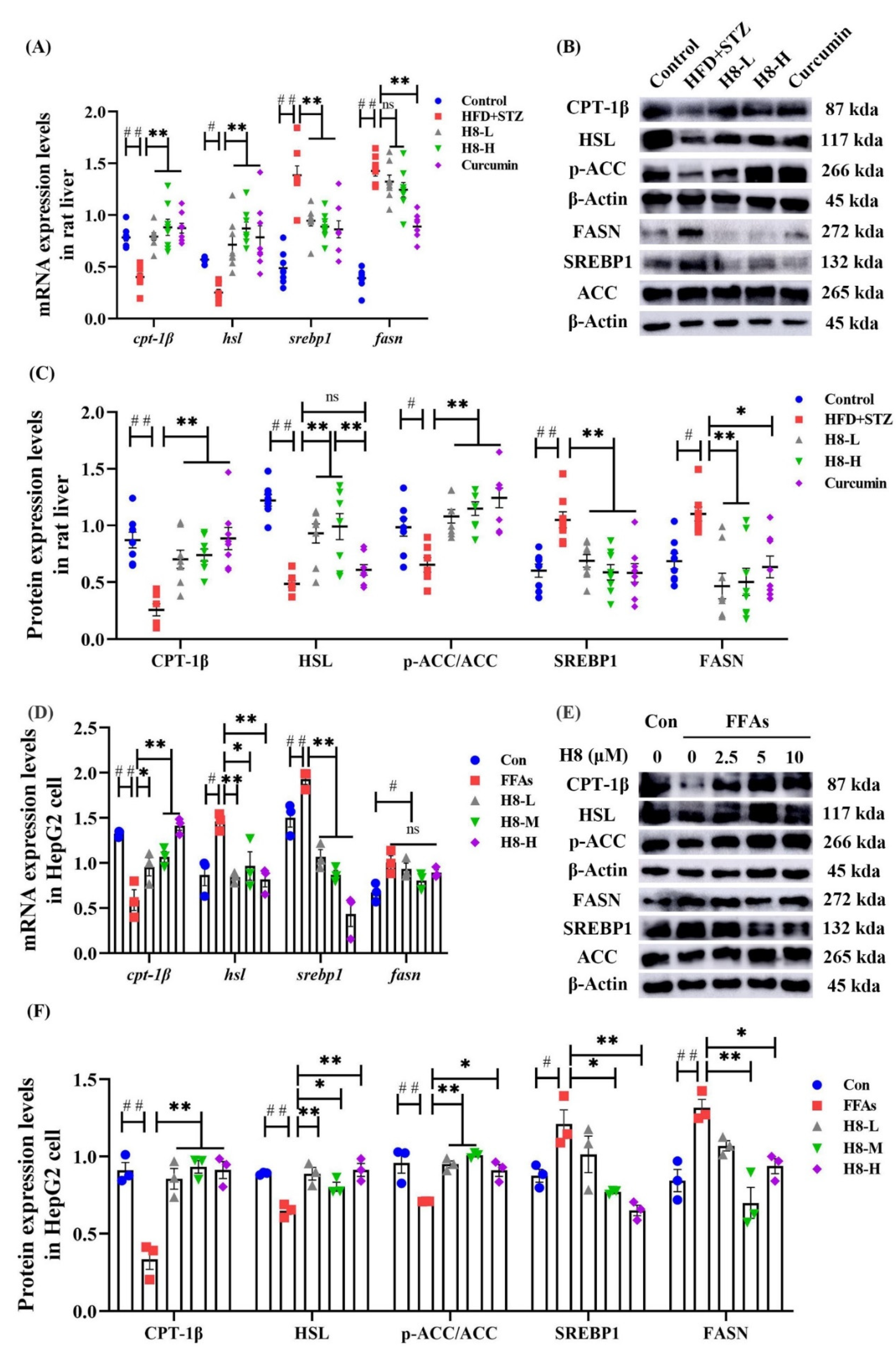 Nutrients 14 02358 g002