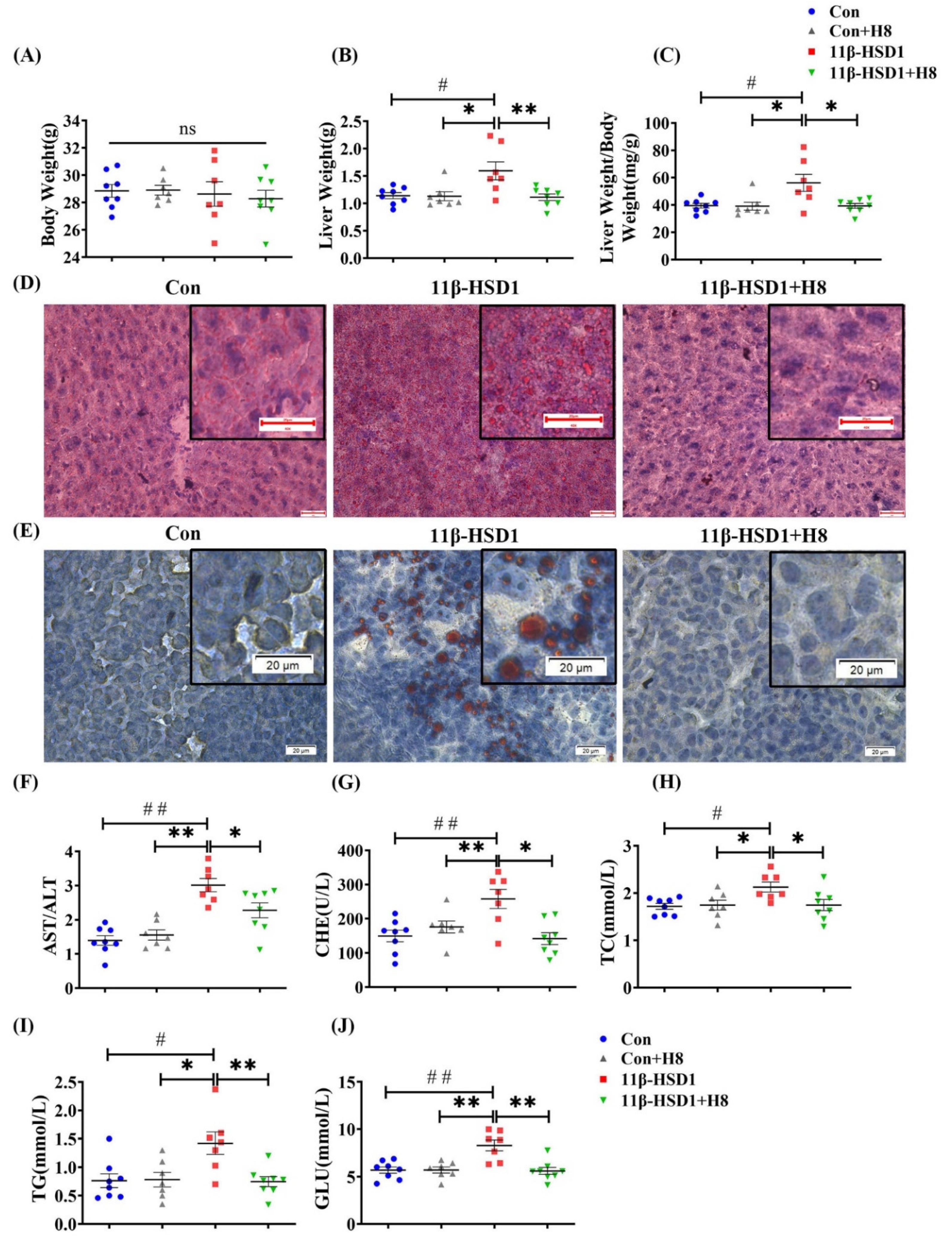 Nutrients 14 02358 g004