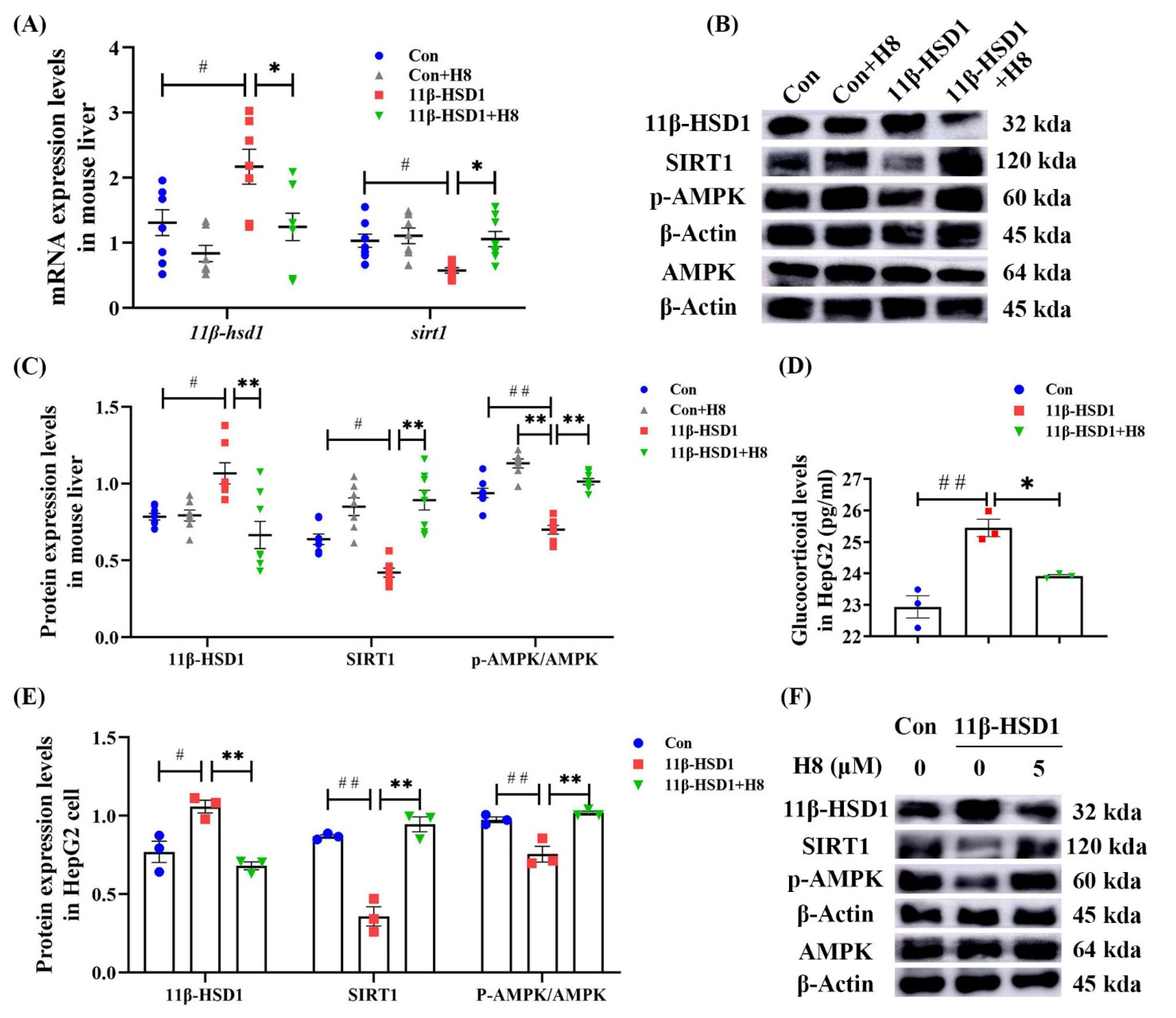 Nutrients 14 02358 g005