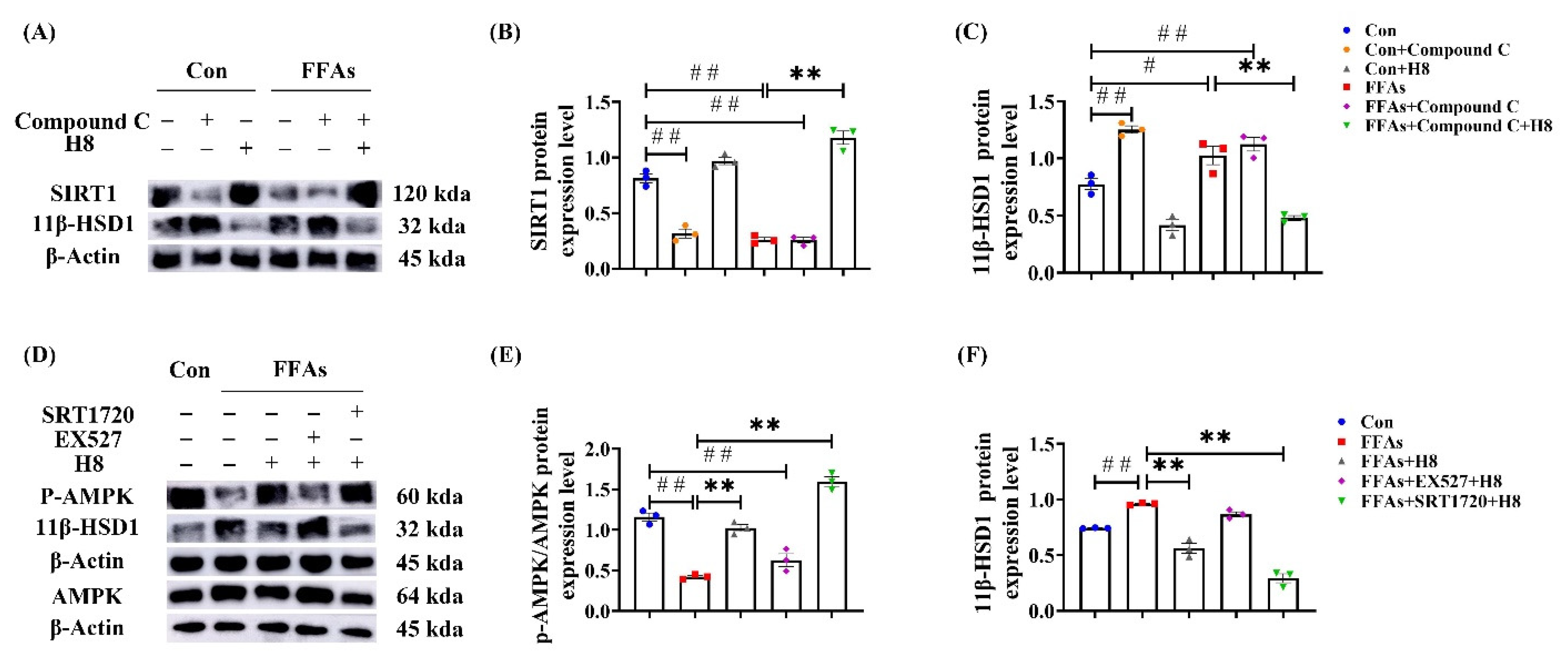 Nutrients 14 02358 g006
