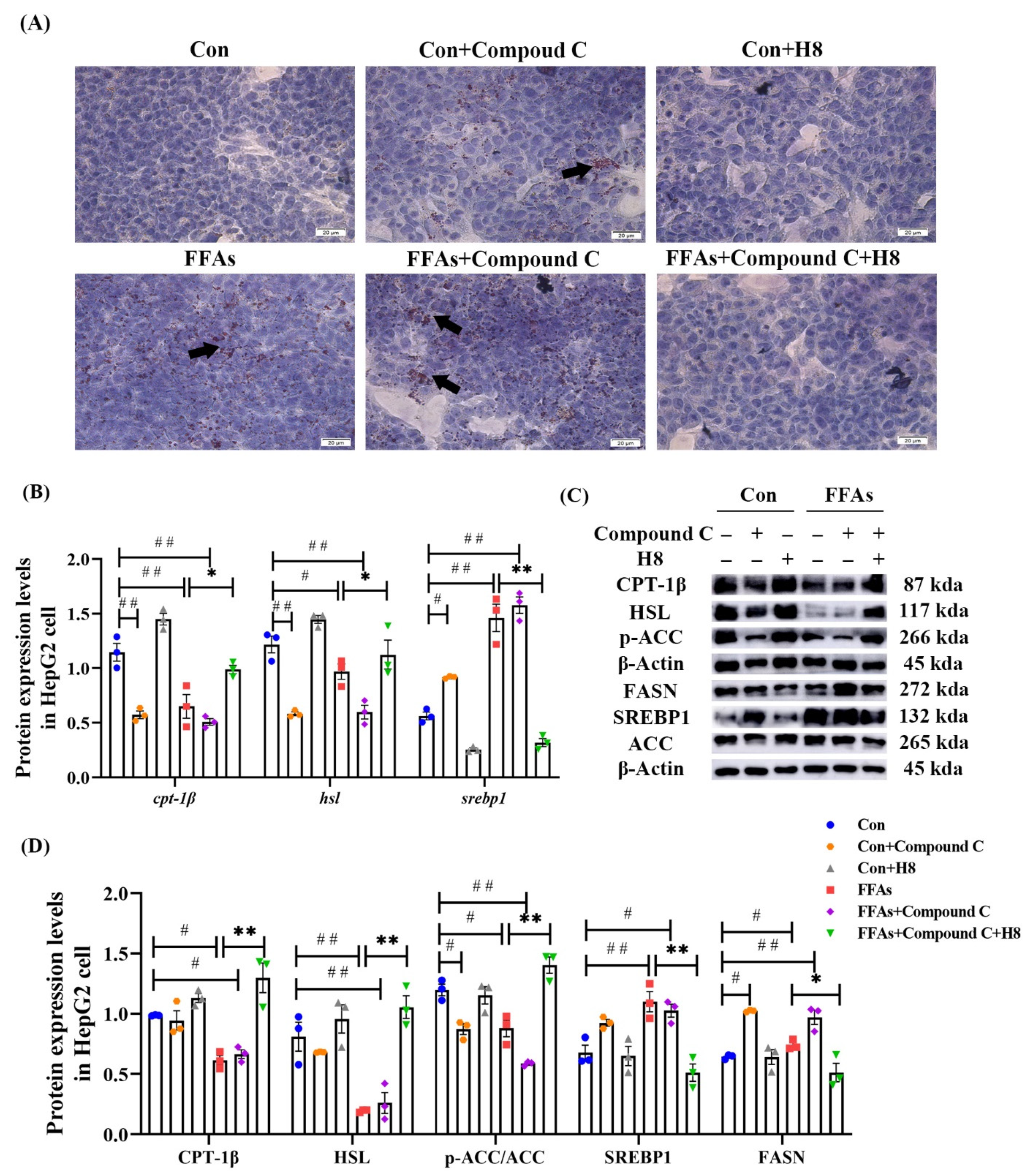 Nutrients 14 02358 g007