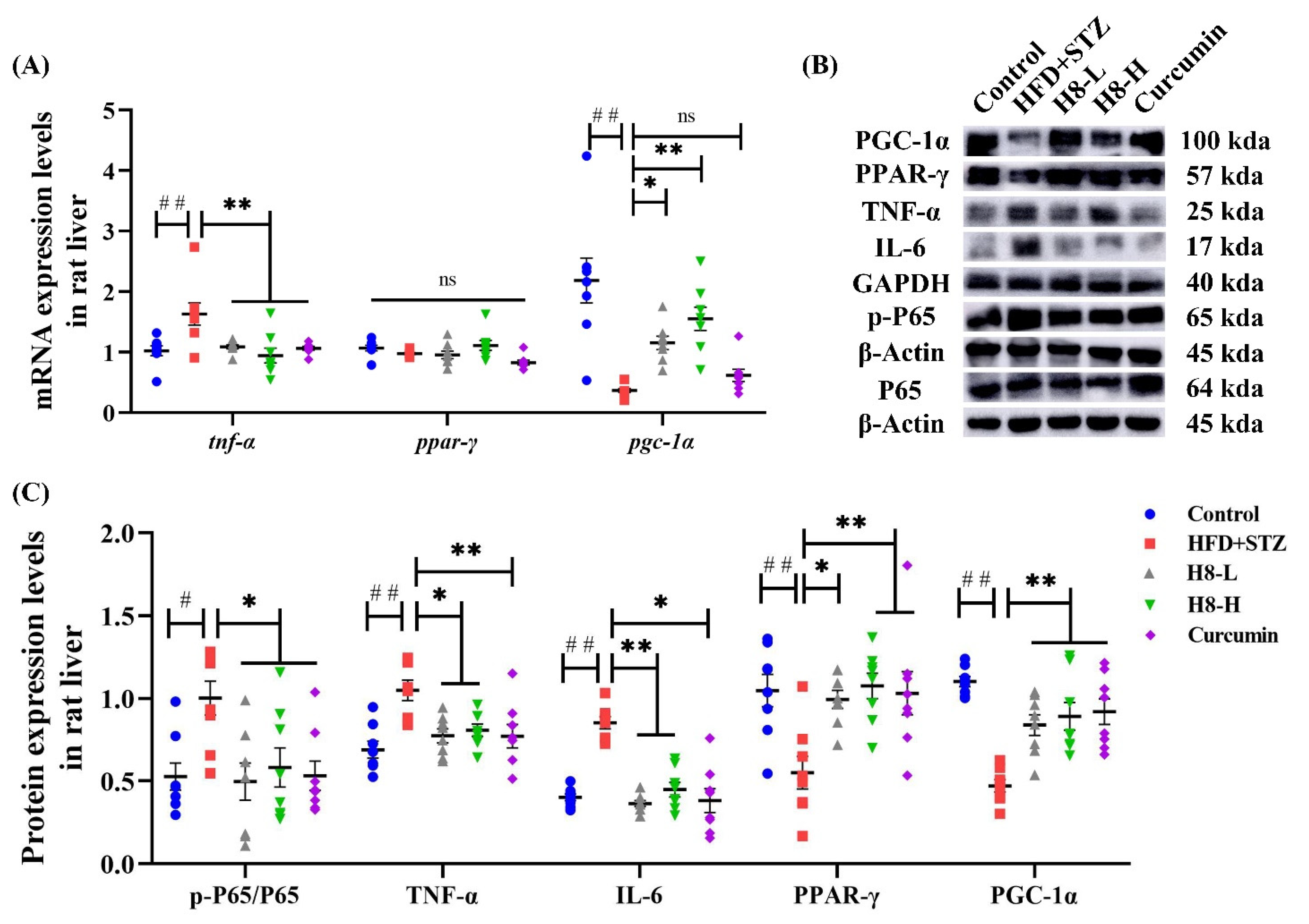 Nutrients 14 02358 g008