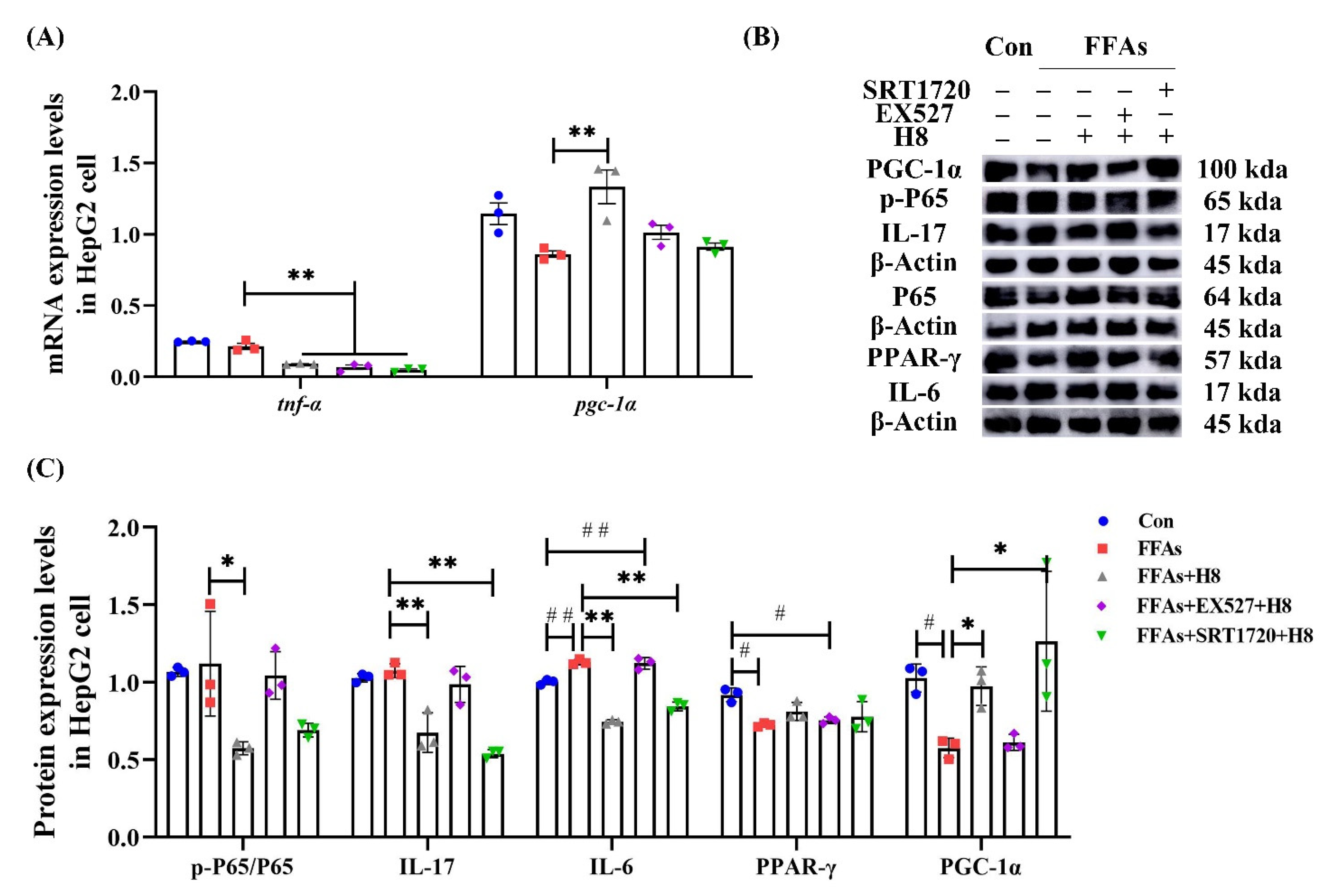 Nutrients 14 02358 g009