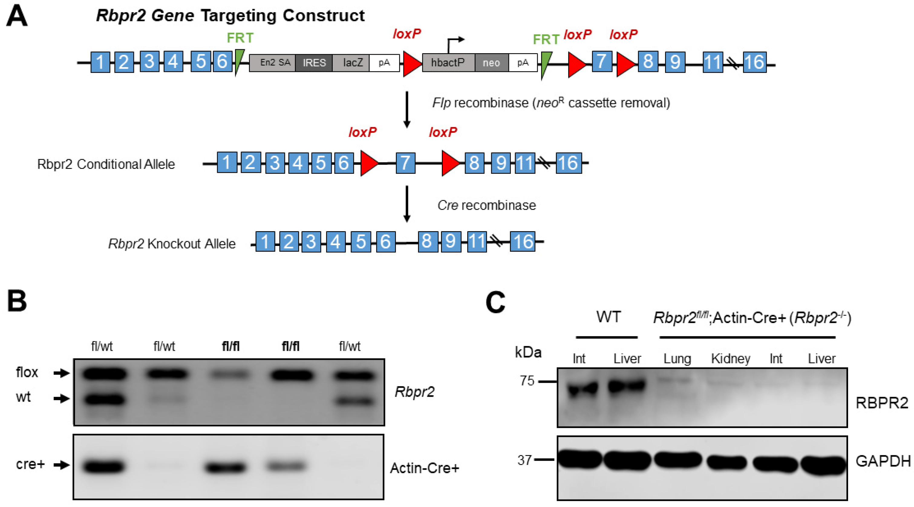 Nutrients 14 02371 g001