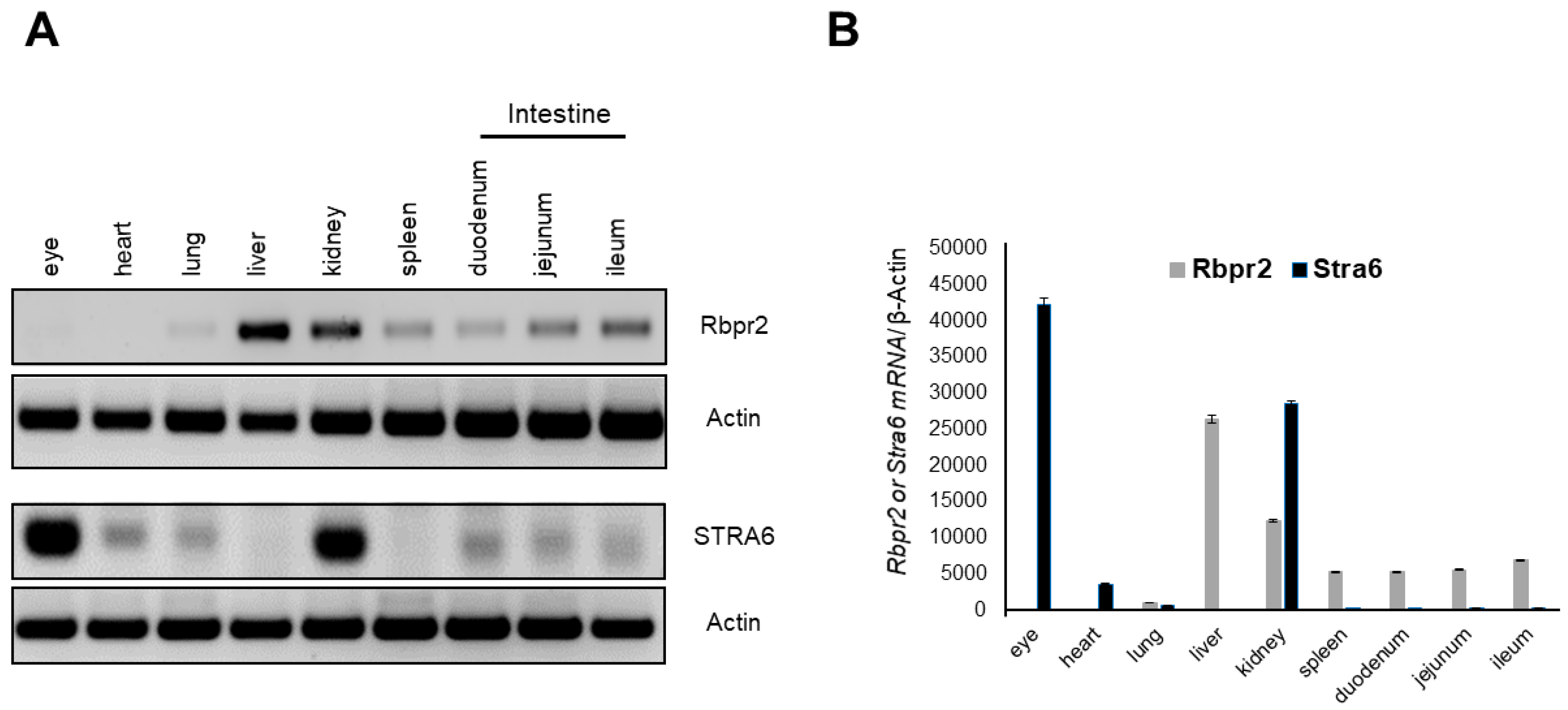 Nutrients 14 02371 g002
