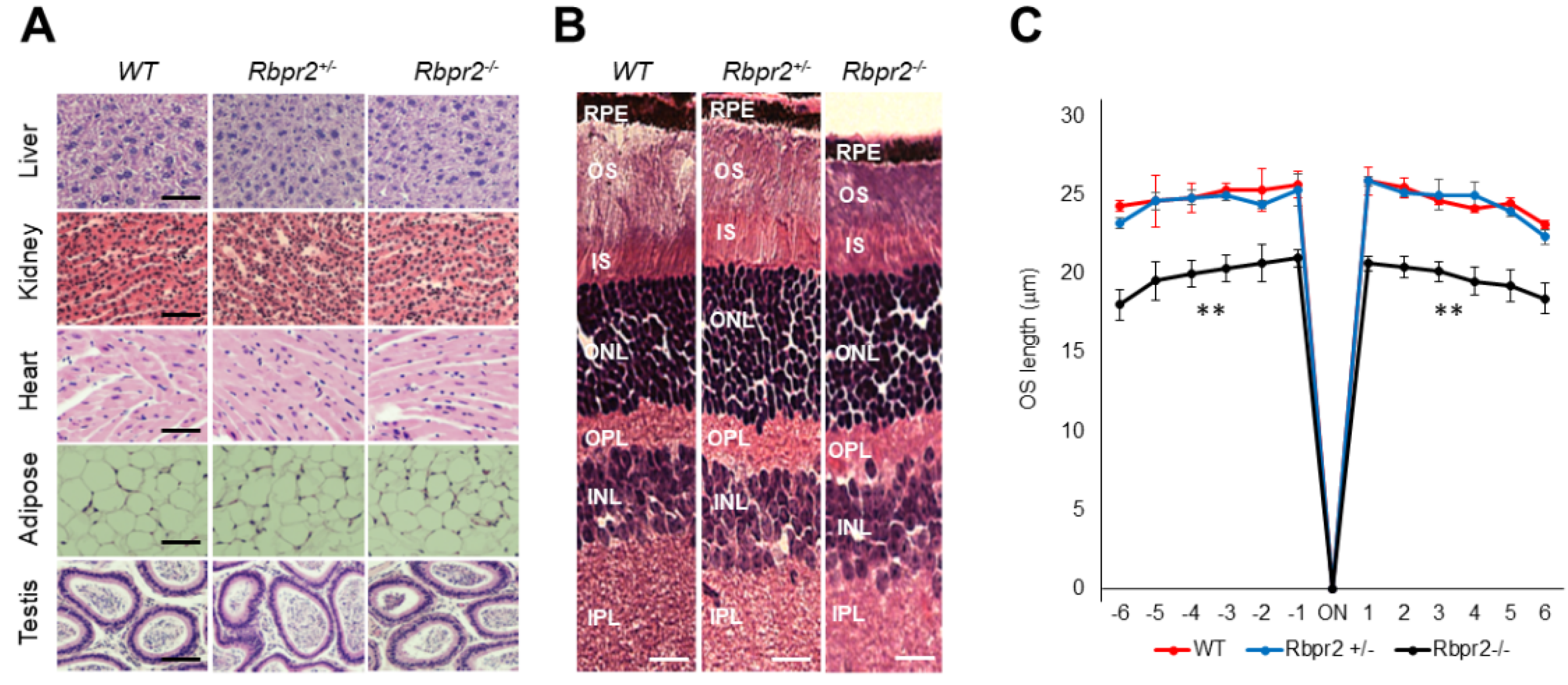 Nutrients 14 02371 g004
