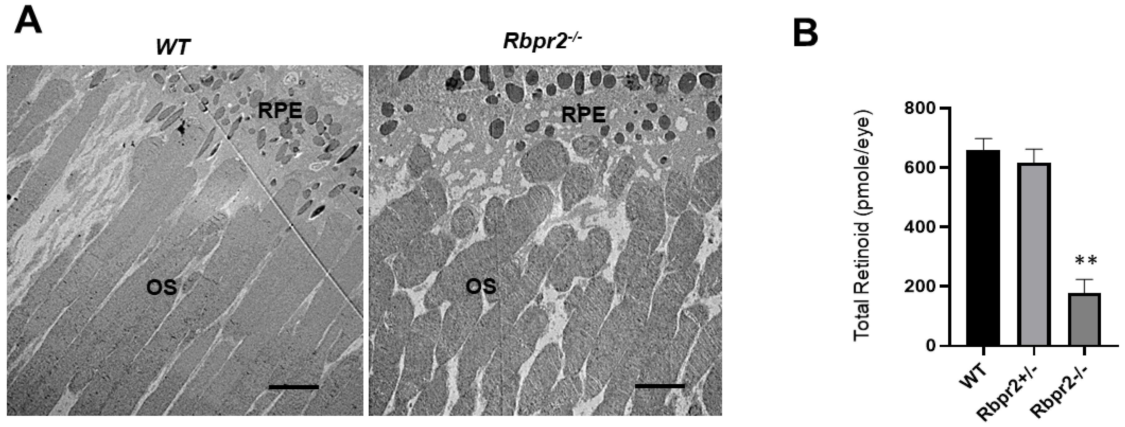 Nutrients 14 02371 g005