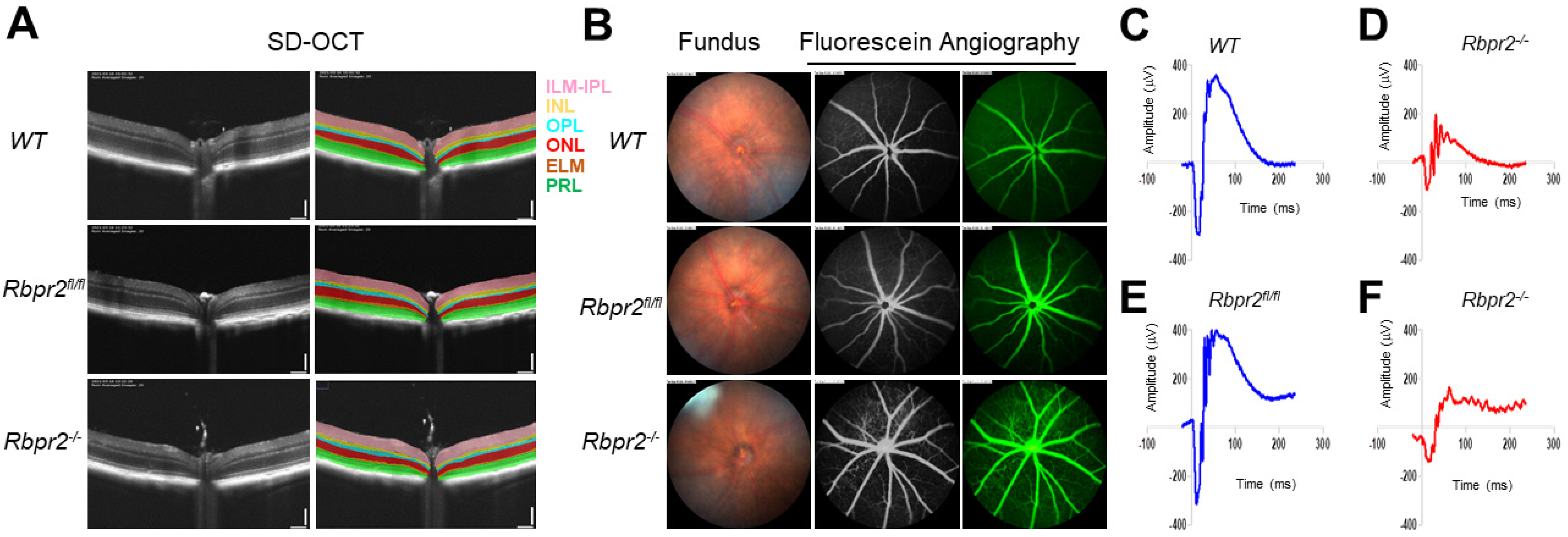 Nutrients 14 02371 g006