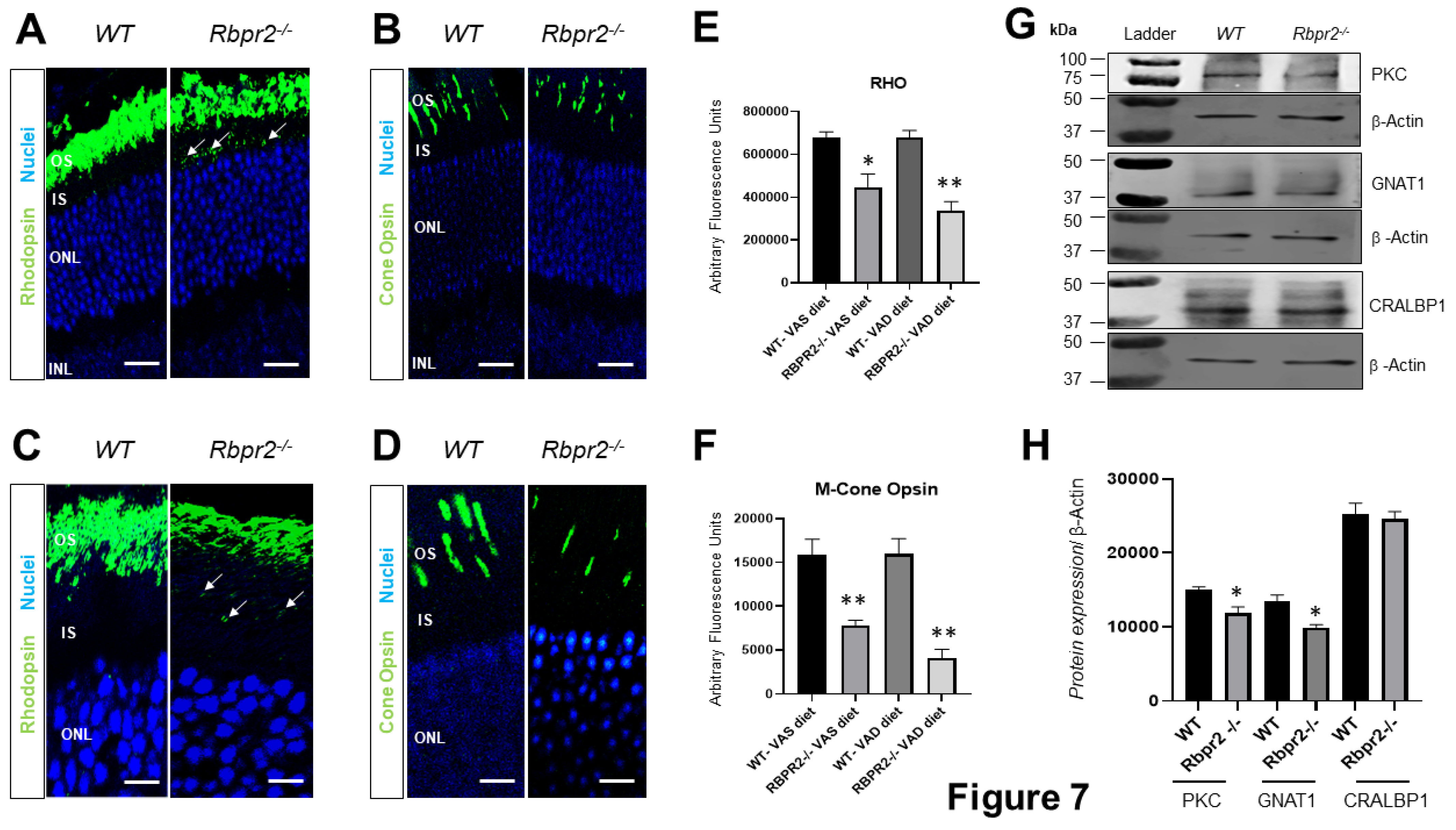 Nutrients 14 02371 g007