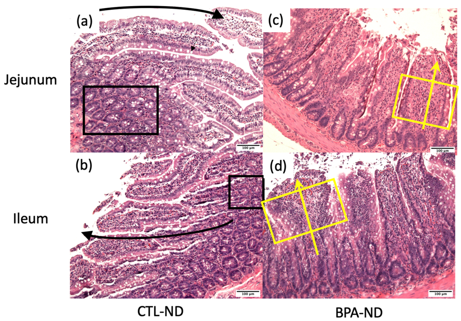 Nutrients 14 02382 g003