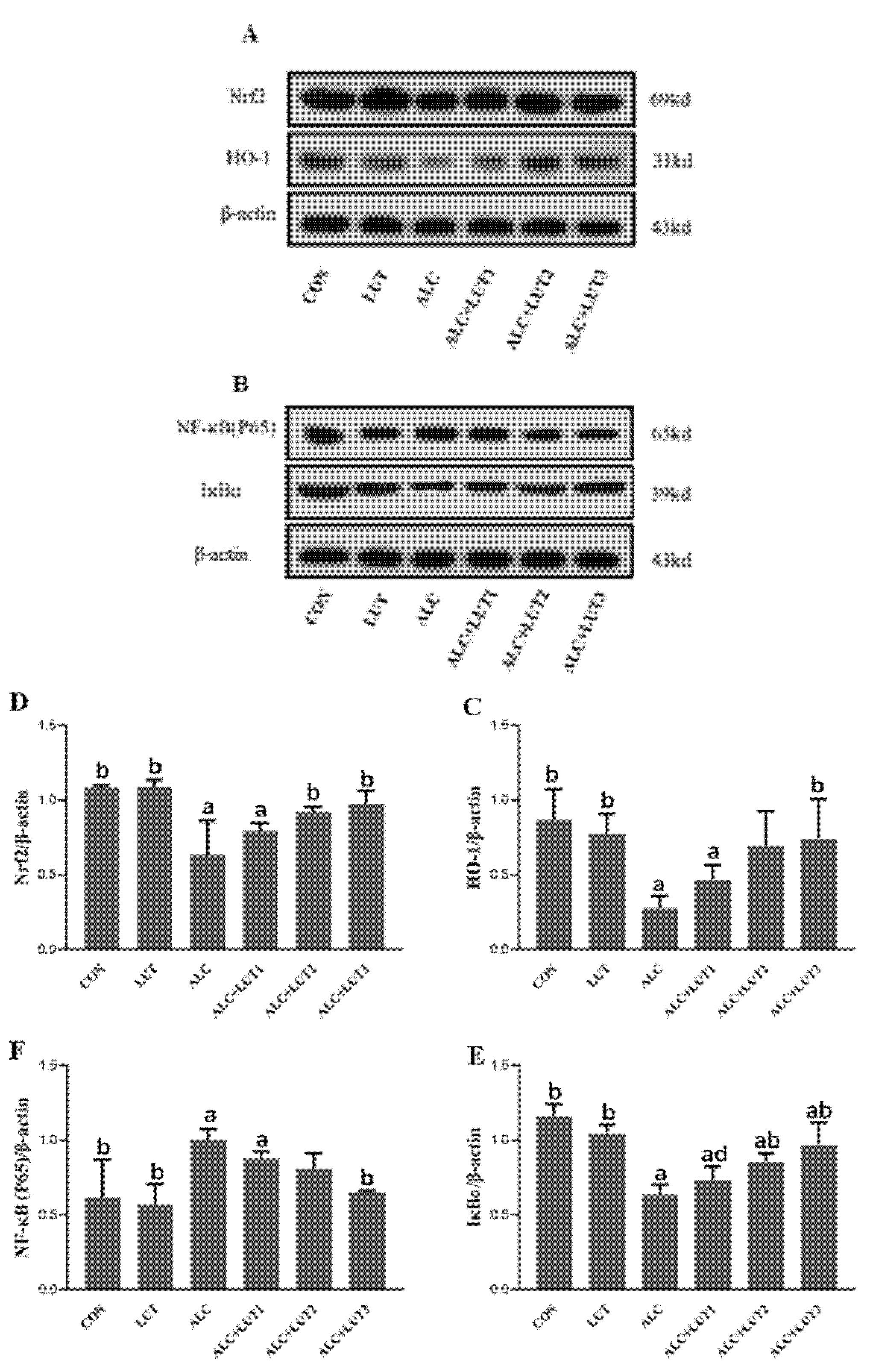 Nutrients 14 02385 g006 Nutrients 14 02385 g006