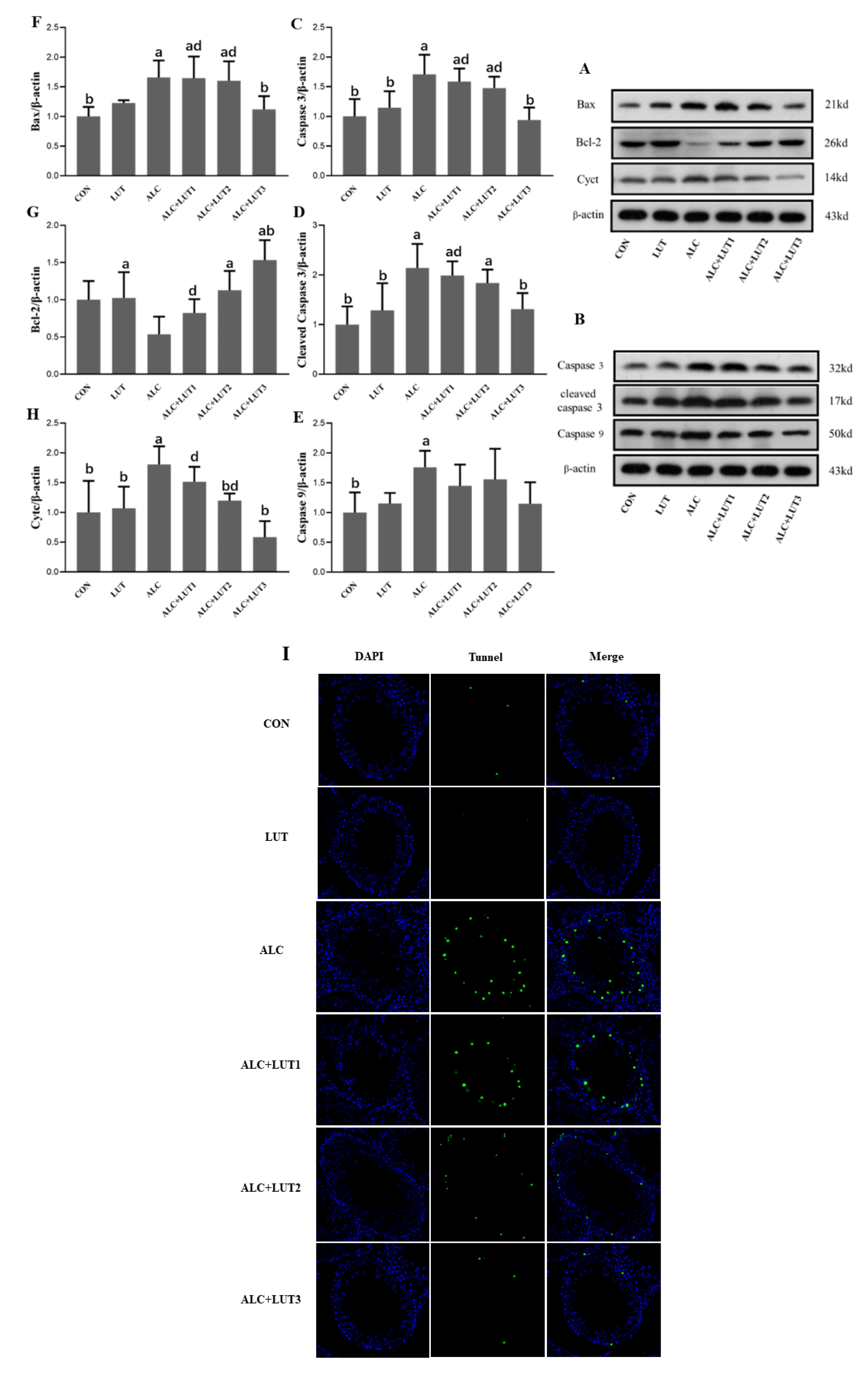 Nutrients 14 02385 g007 Nutrients 14 02385 g007