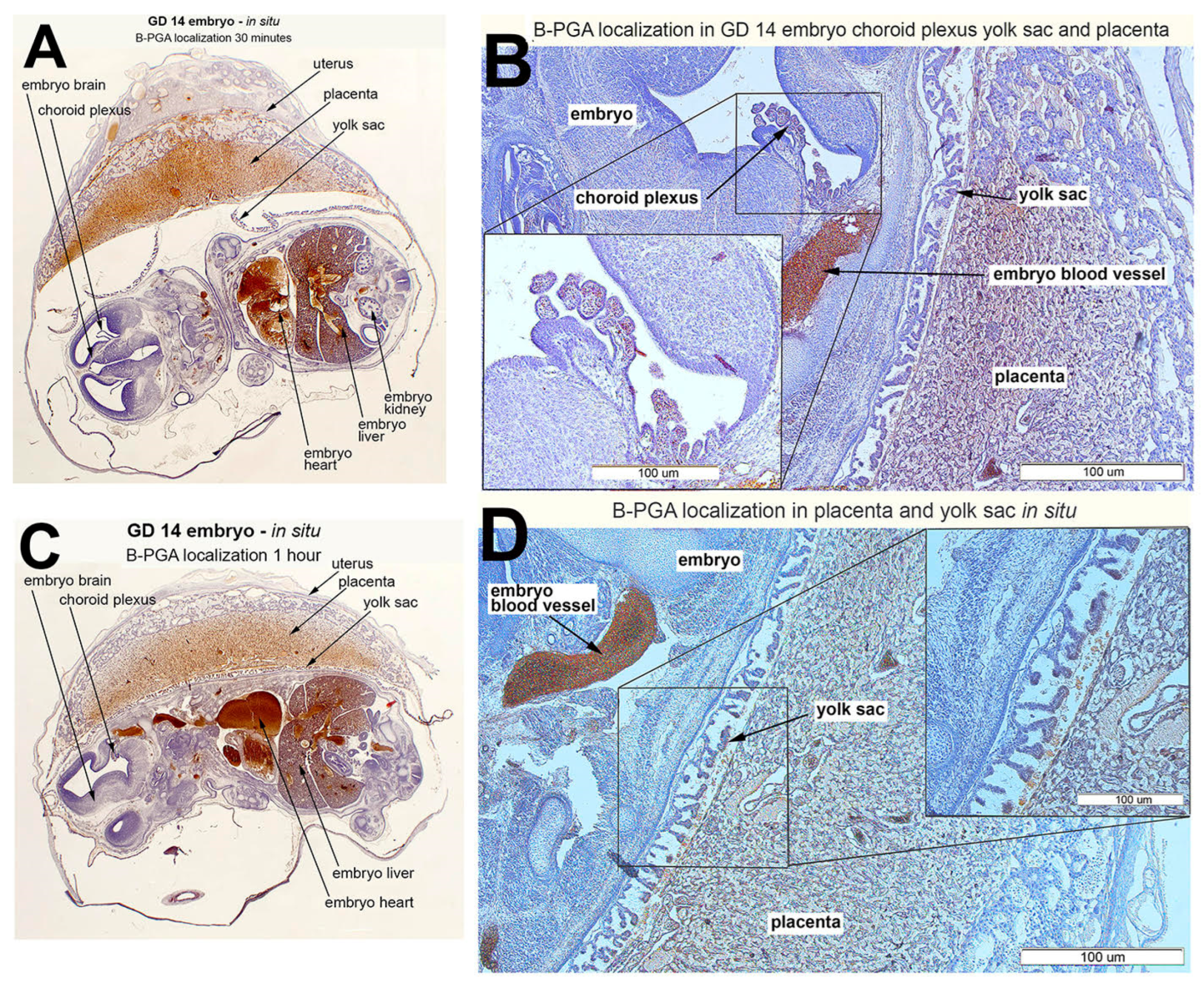 Nutrients 14 02397 g007
