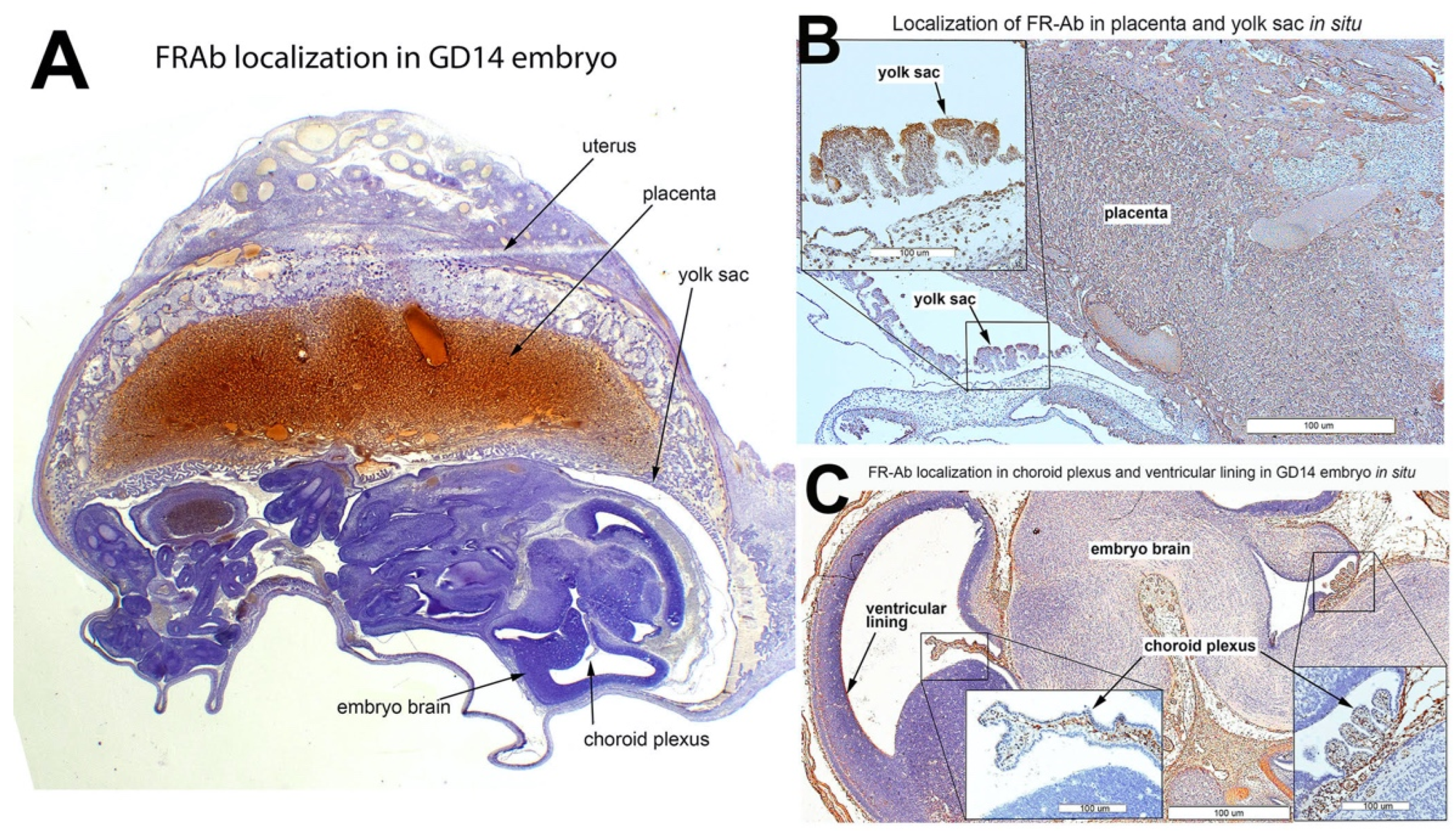 Nutrients 14 02397 g008