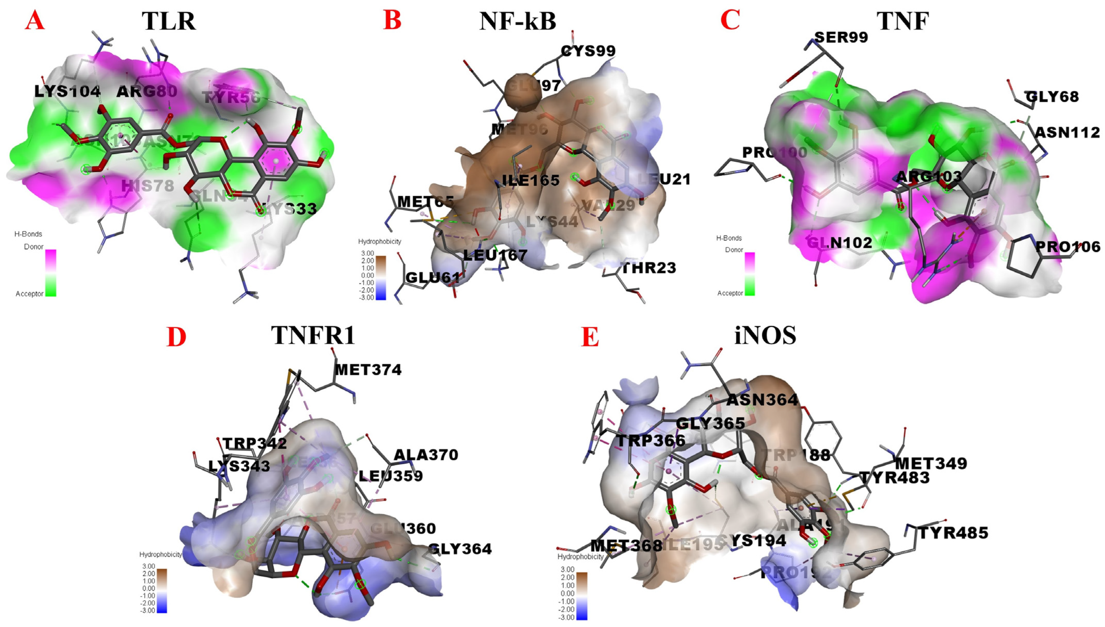 Nutrients 14 02405 g007