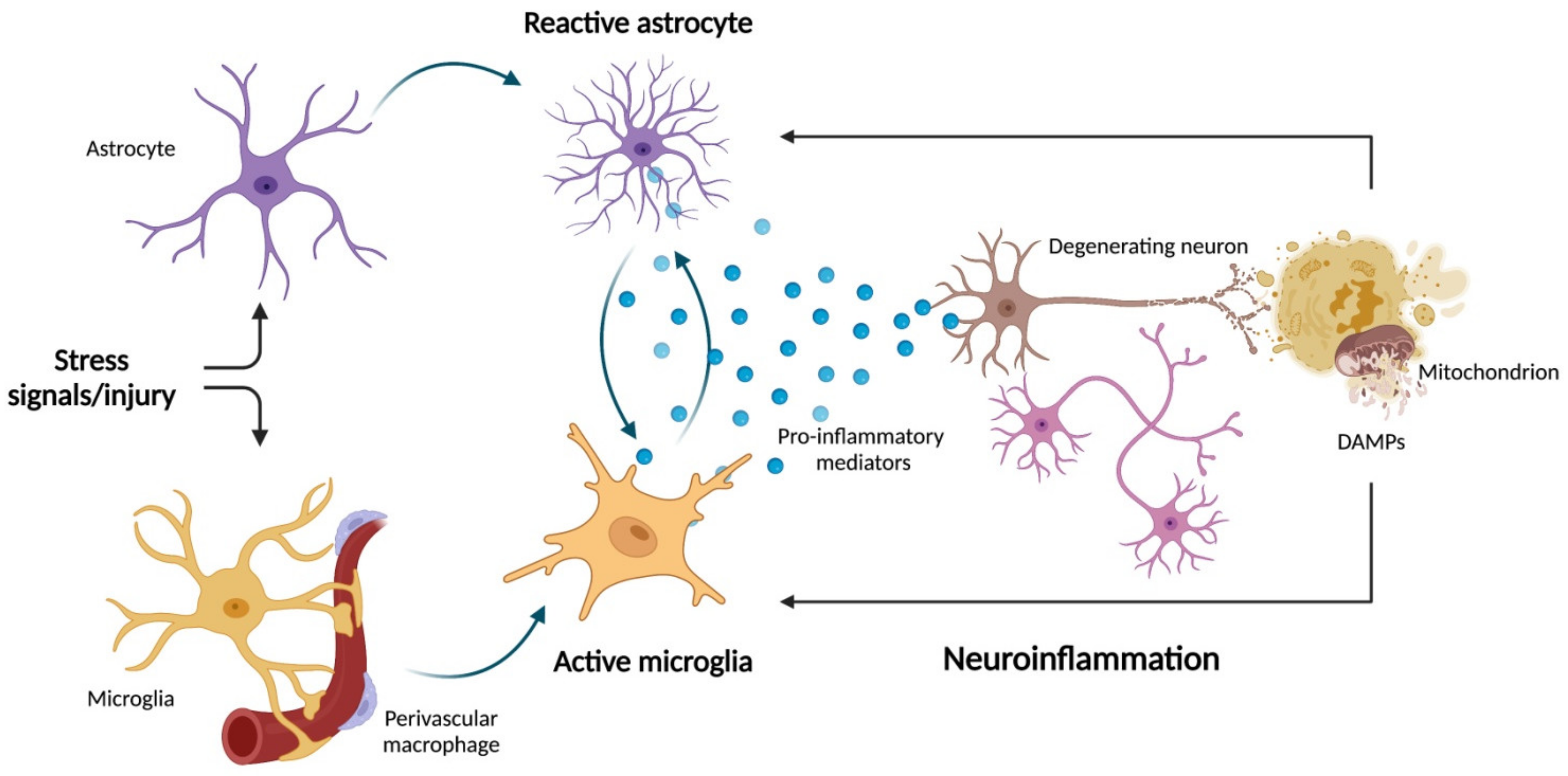 Nutrients 14 02406 g001