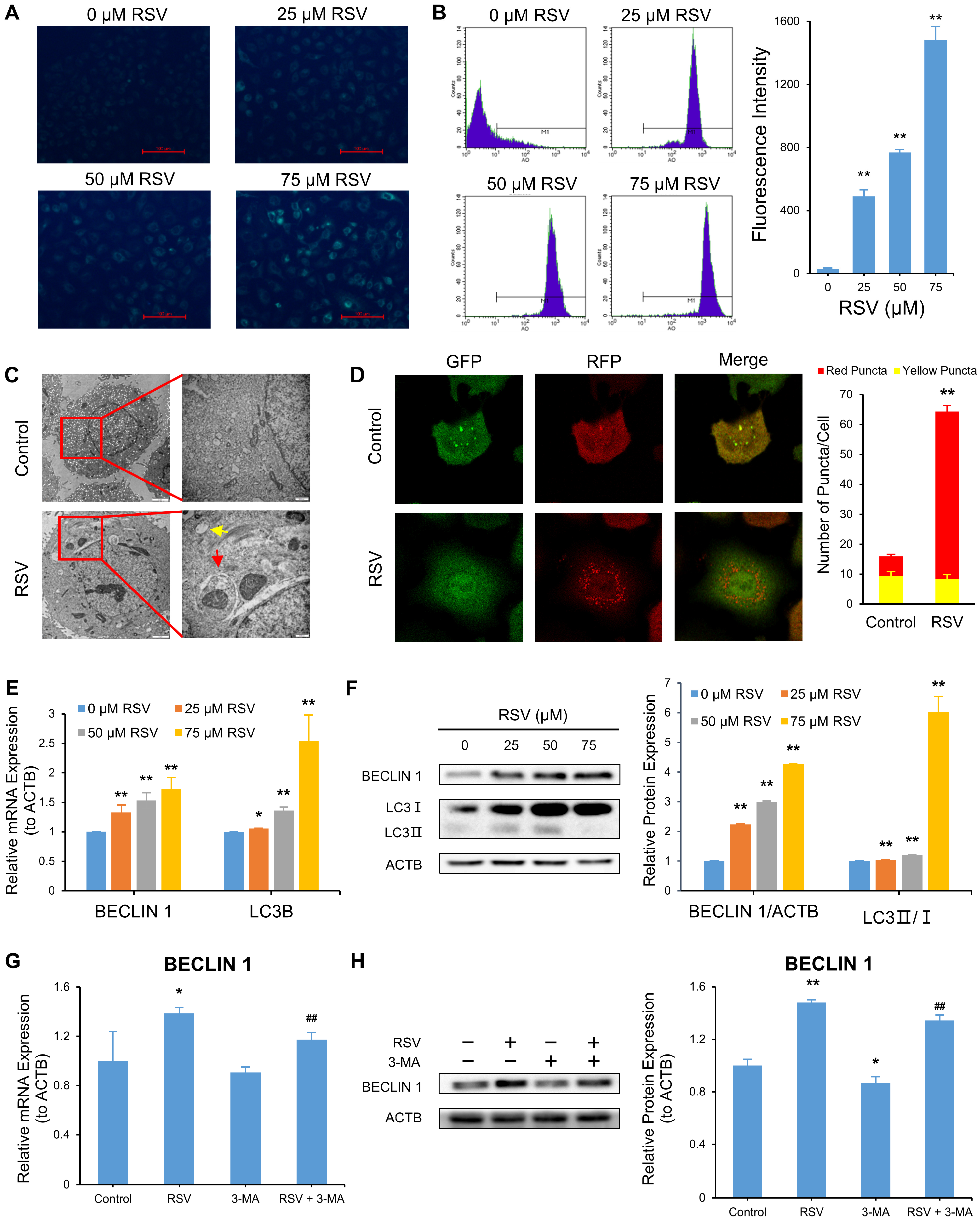 Nutrients 14 02413 g003