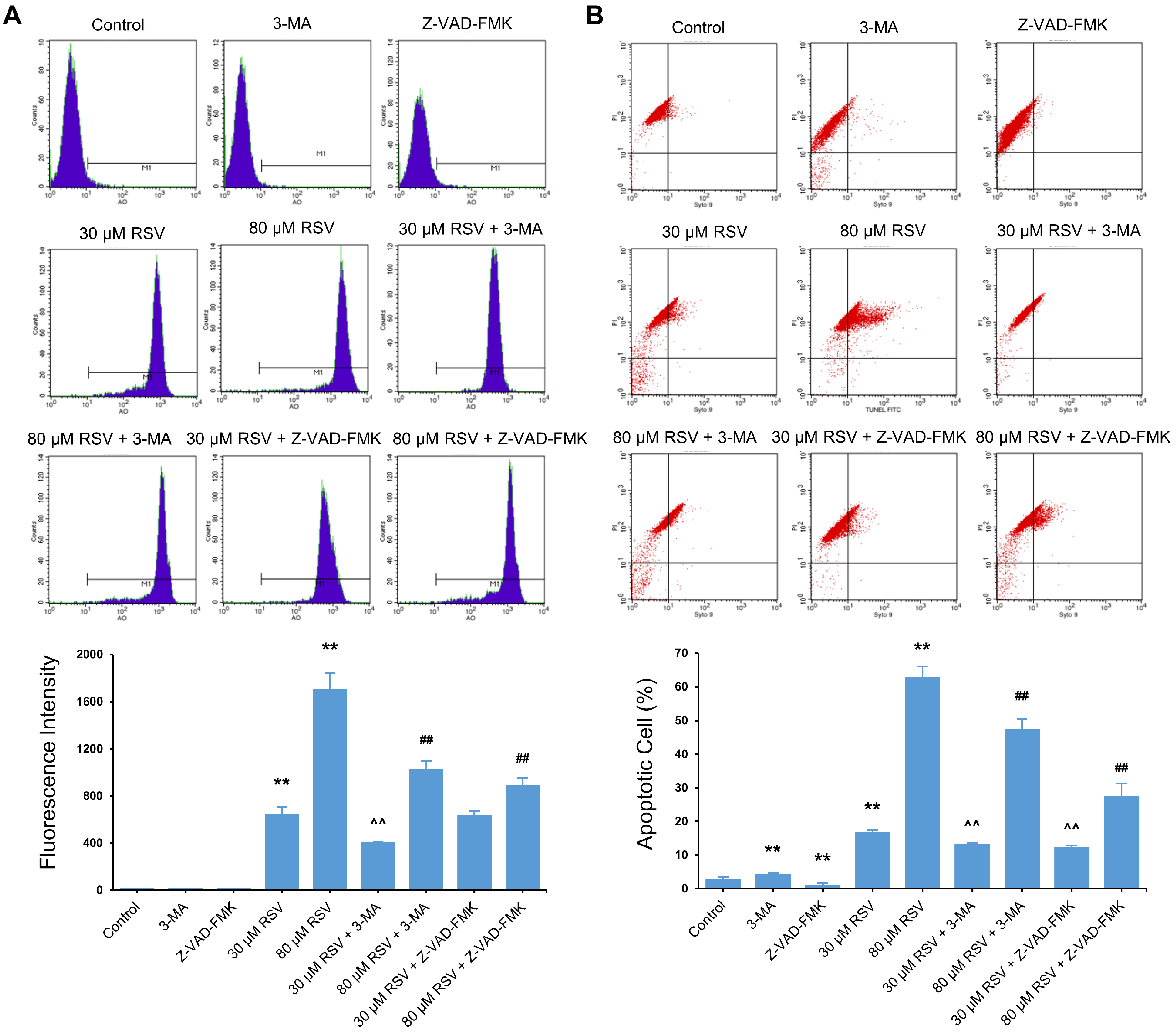 Nutrients 14 02413 g005