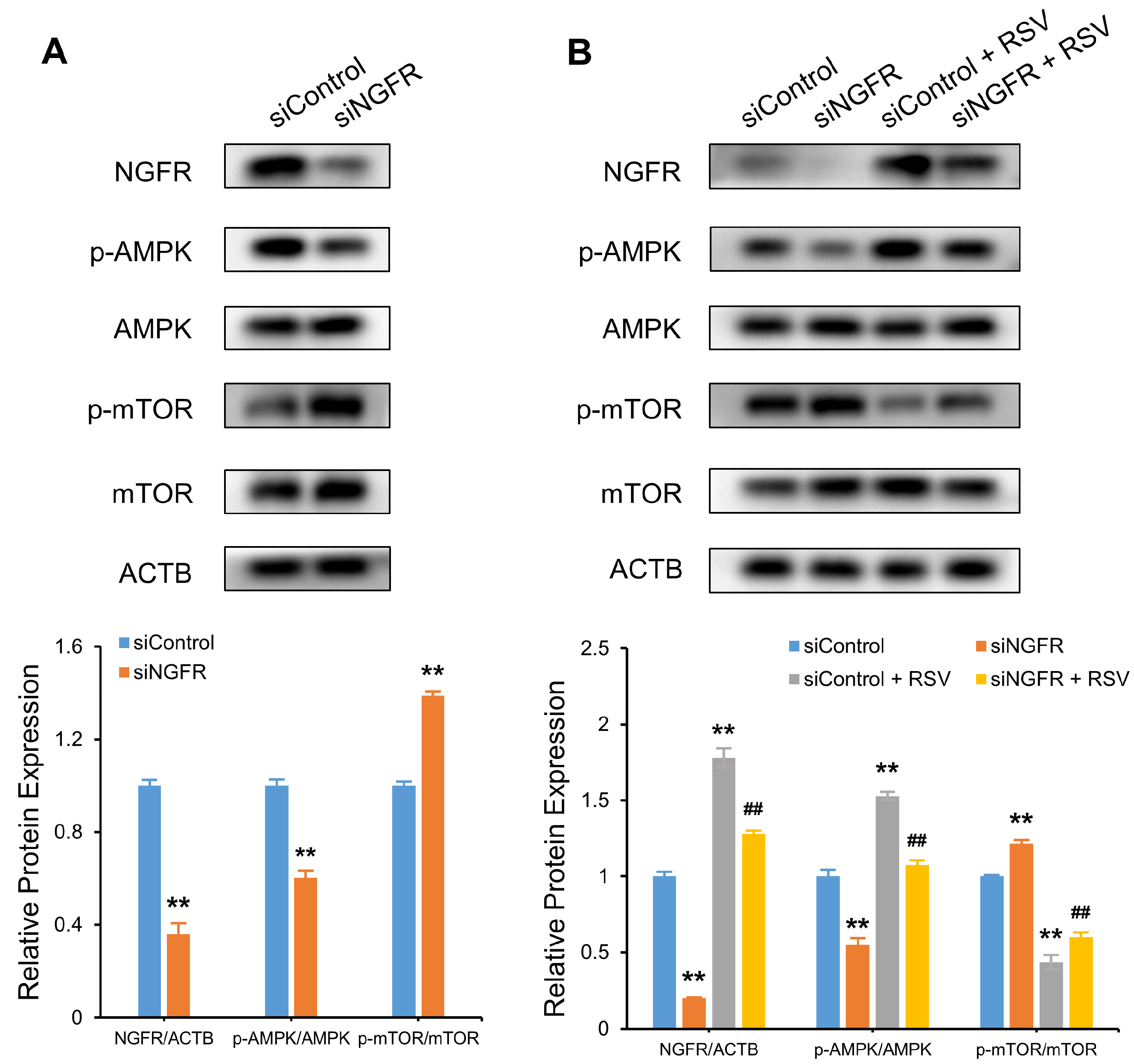 Nutrients 14 02413 g008
