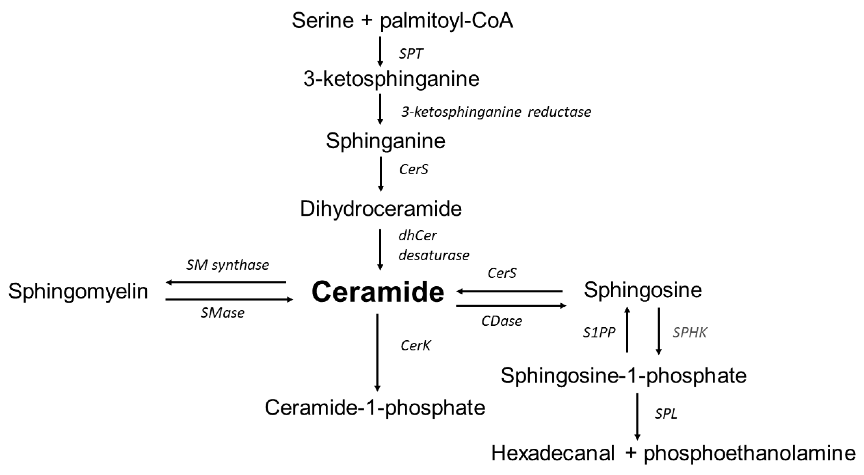 Nutrients 14 02438 g001 Nutrients 14 02438 g001