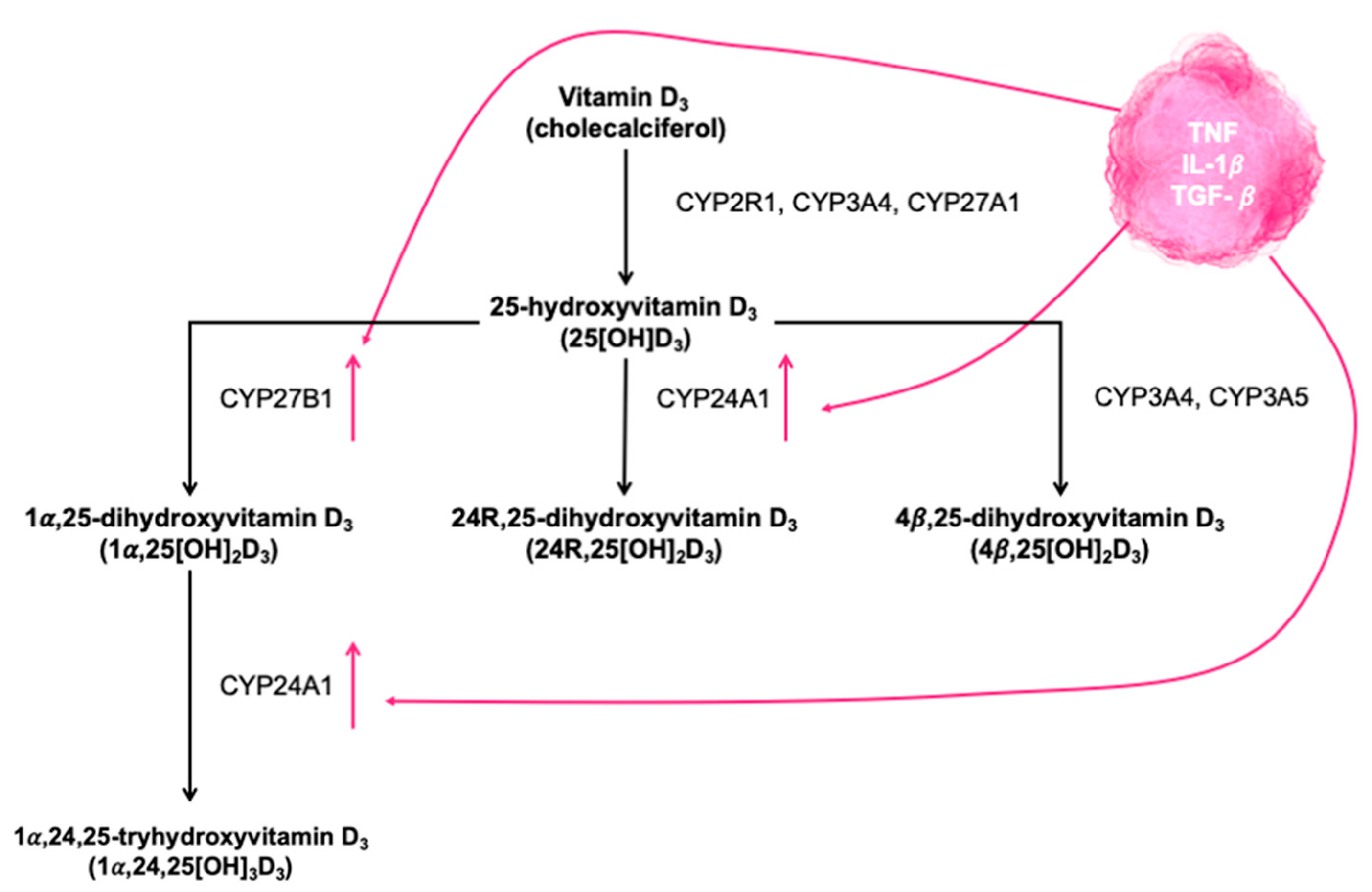 Nutrients 14 02447 g002