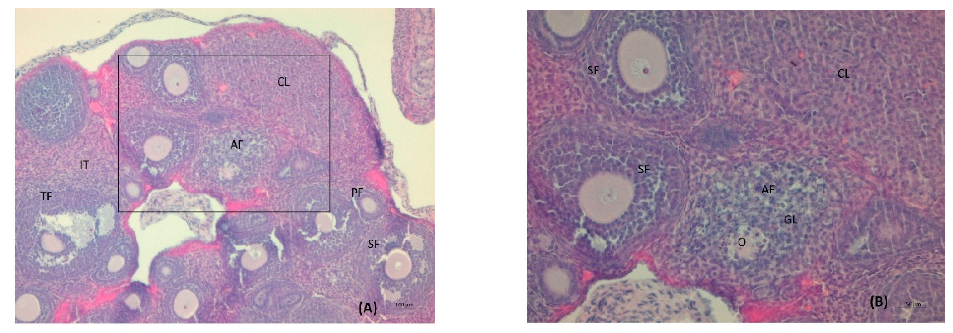 Nutrients 14 02478 g005