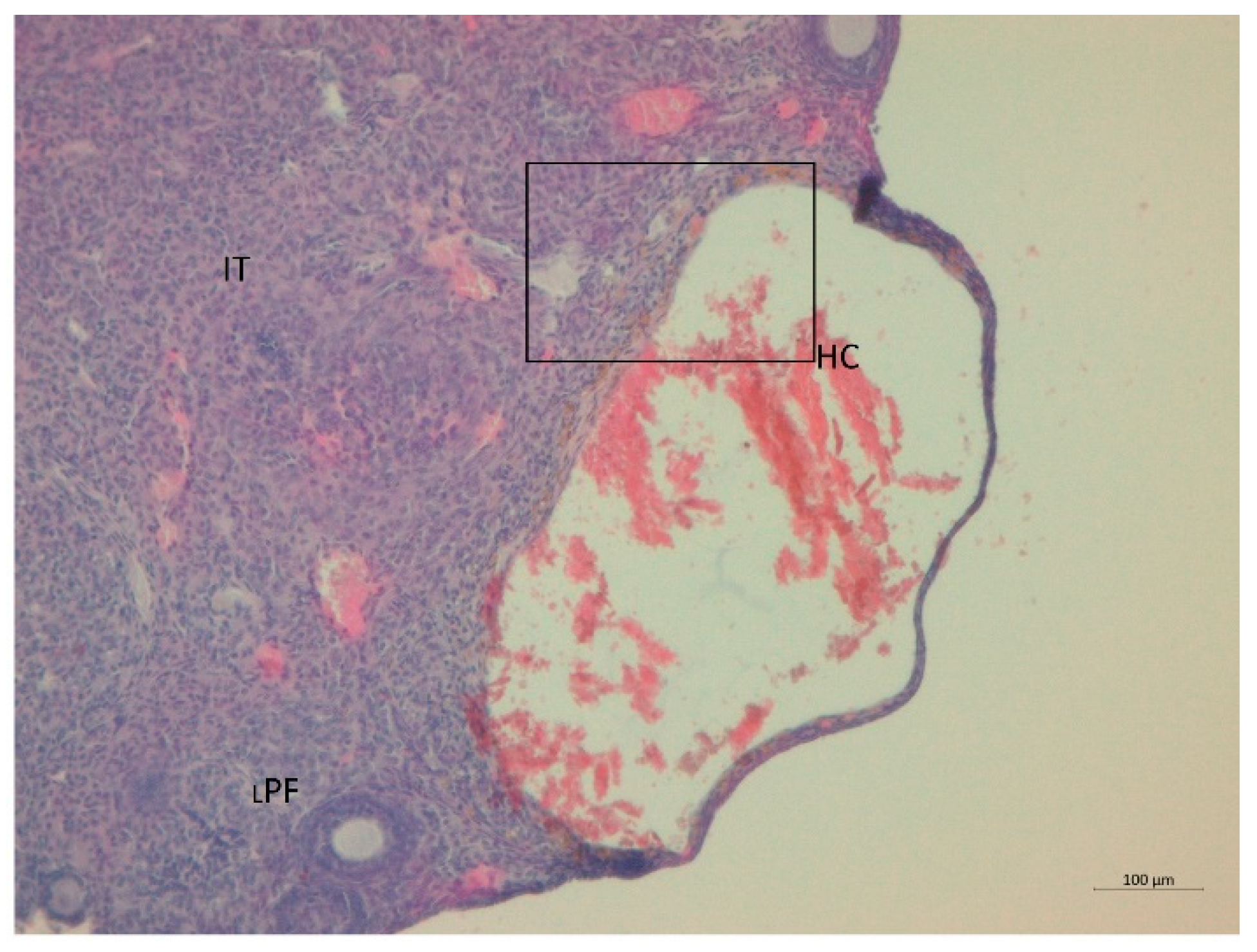 Nutrients 14 02478 g006