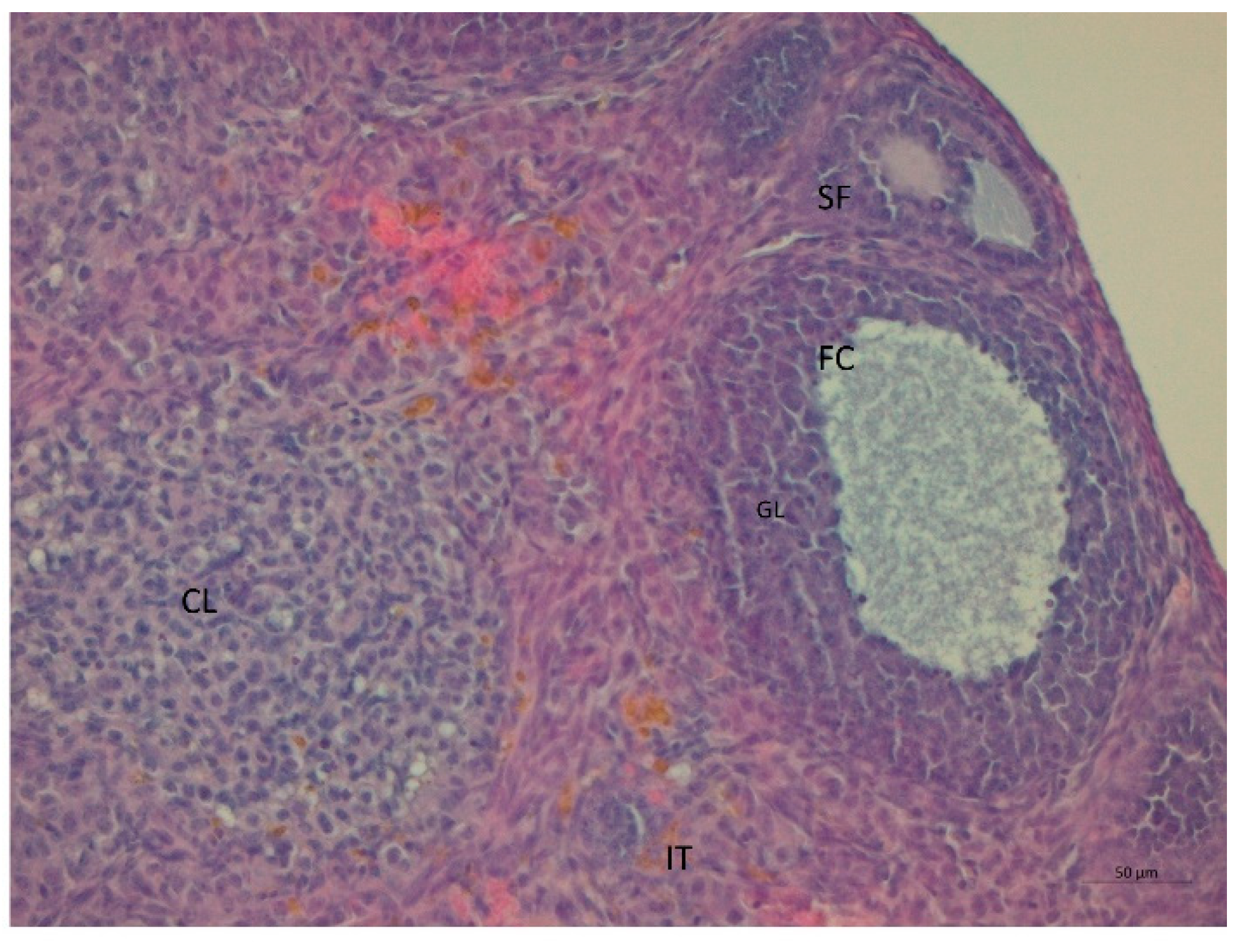 Nutrients 14 02478 g007