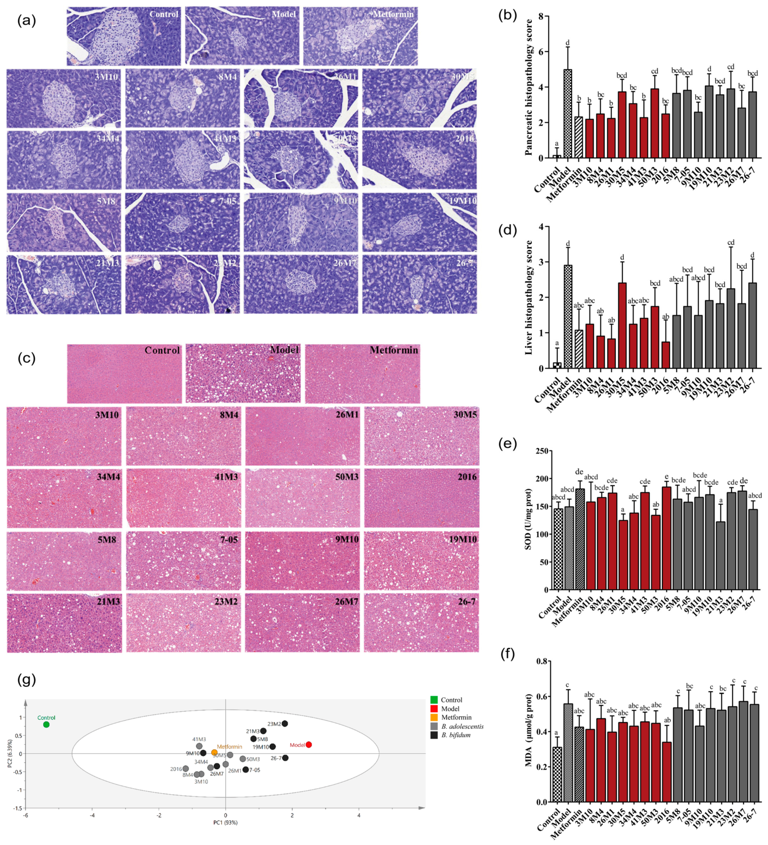 Nutrients 14 02479 g002