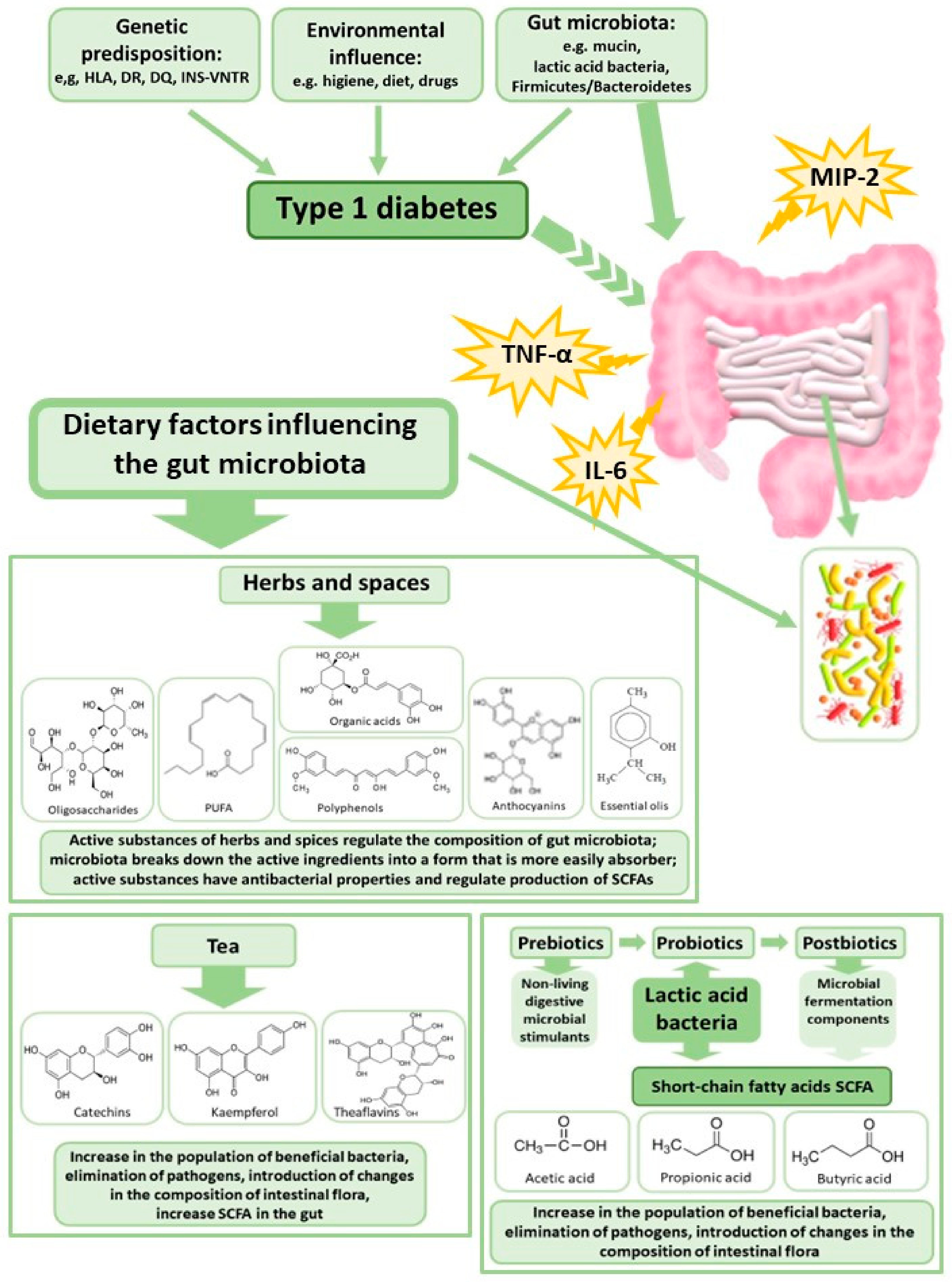 Nutrients 14 02498 g002 Nutrients 14 02498 g002