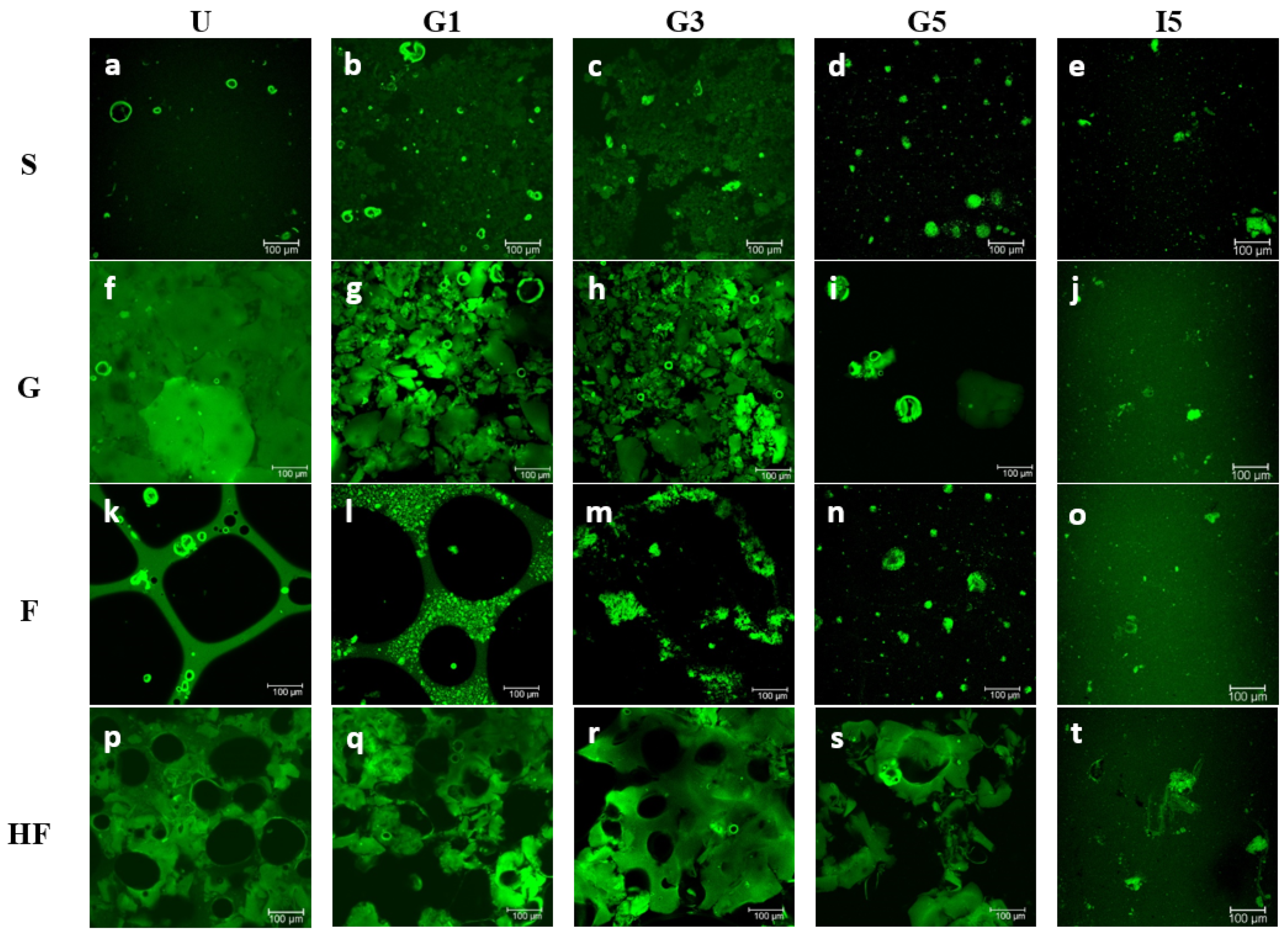 Nutrients 14 02505 g002