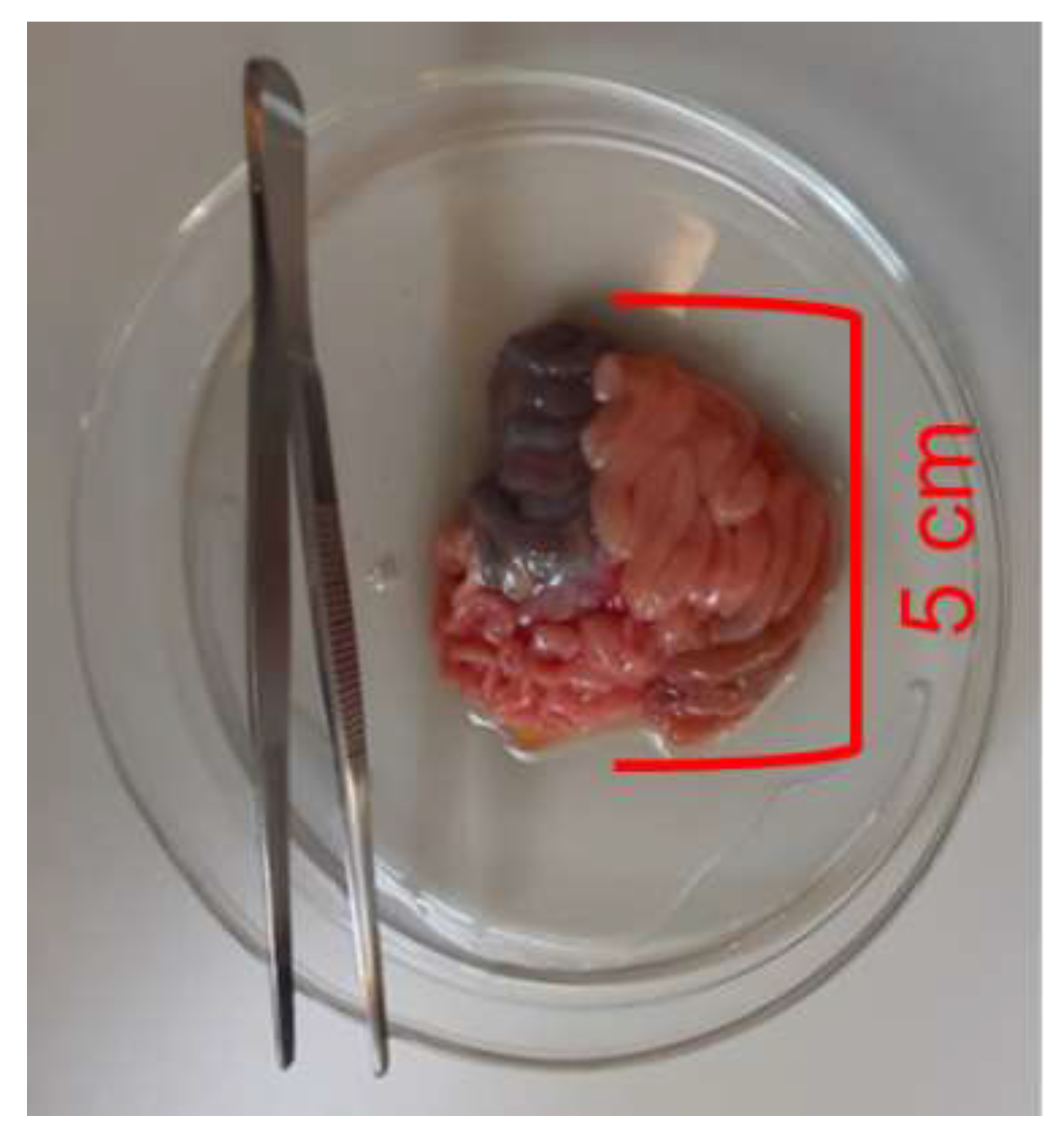 Nutrients 14 02524 g001 Nutrients 14 02524 g001