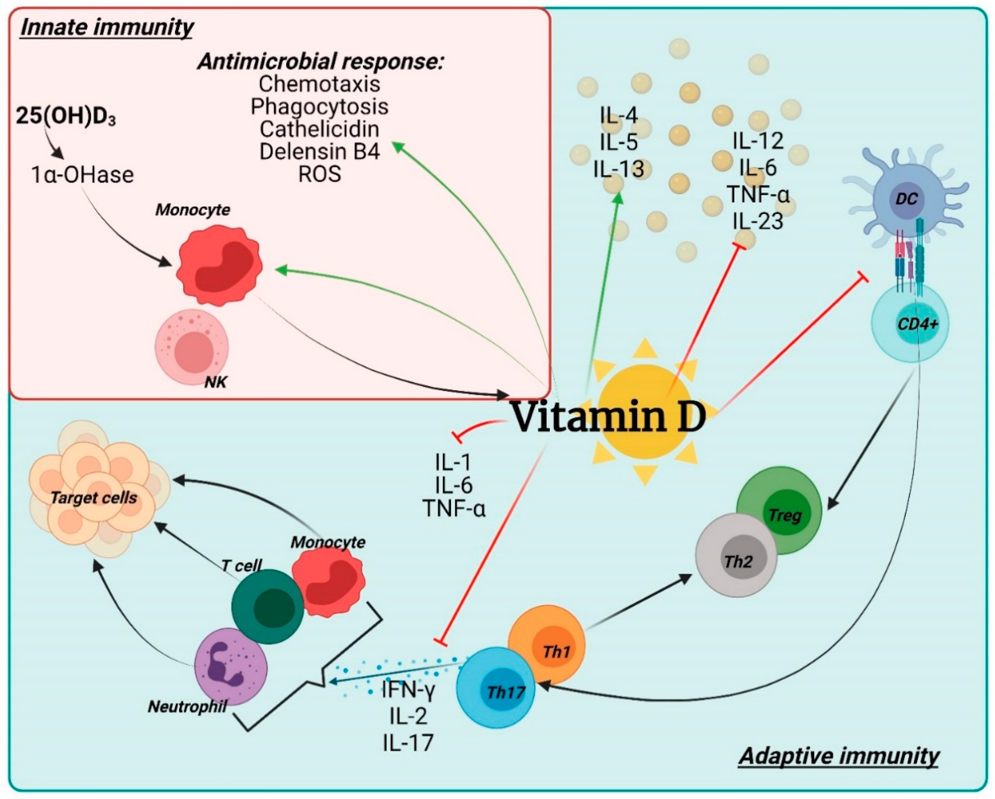 Nutrients 14 02534 g002