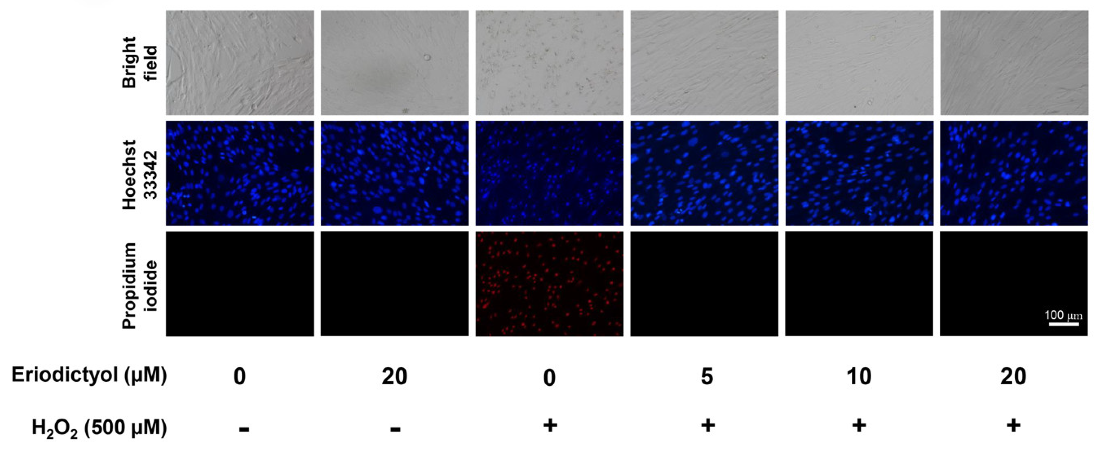 Nutrients 14 02553 g002