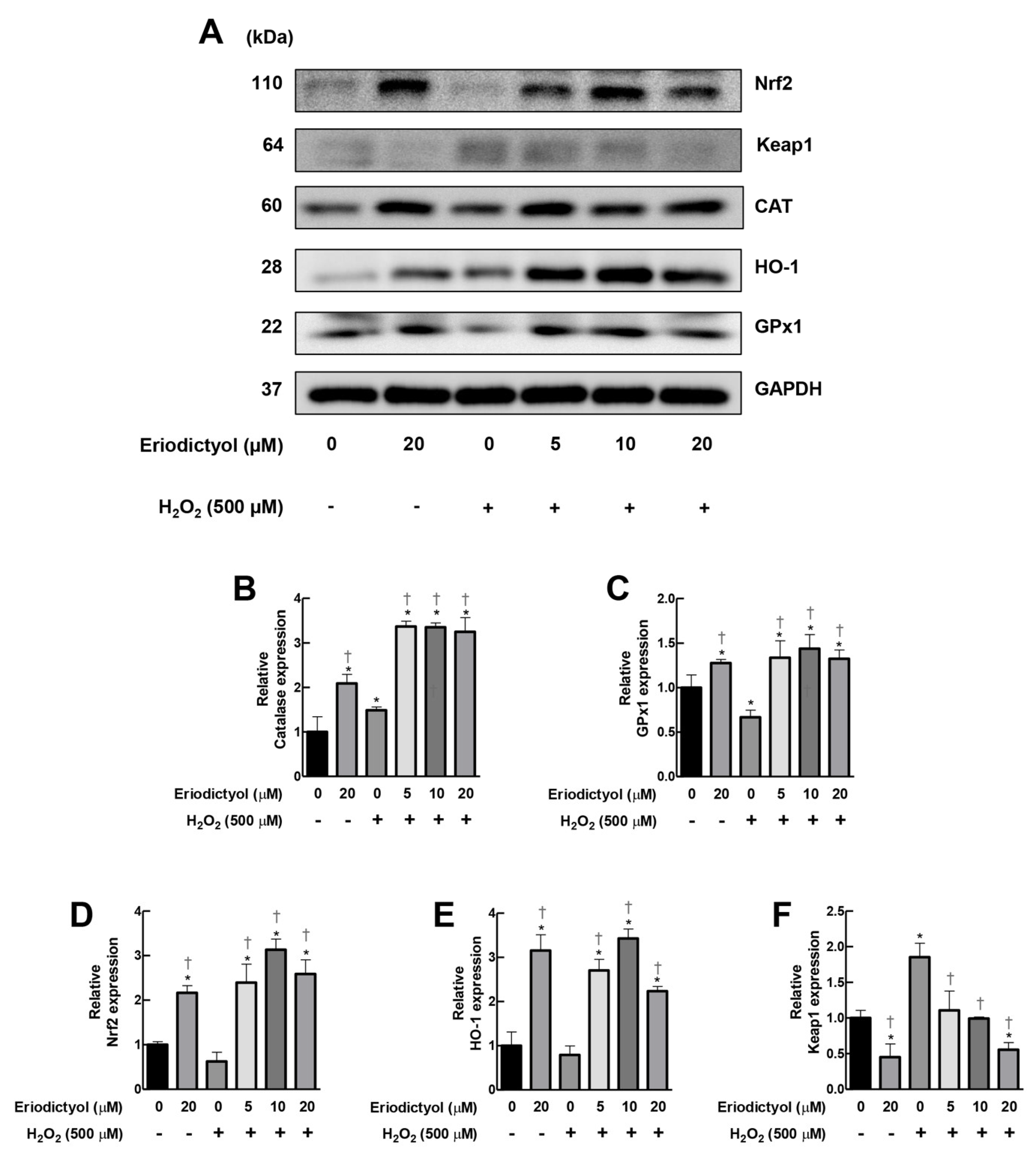 Nutrients 14 02553 g007