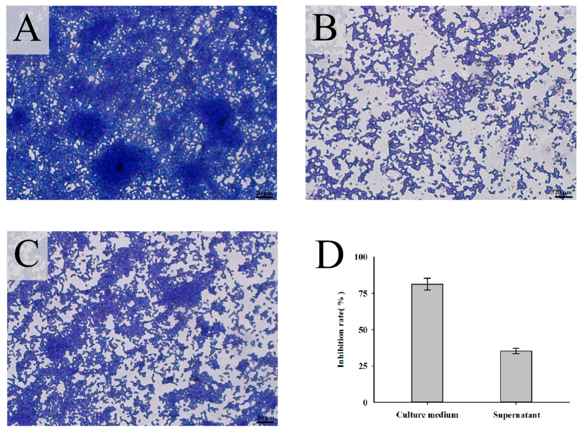 Nutrients 14 02584 g002