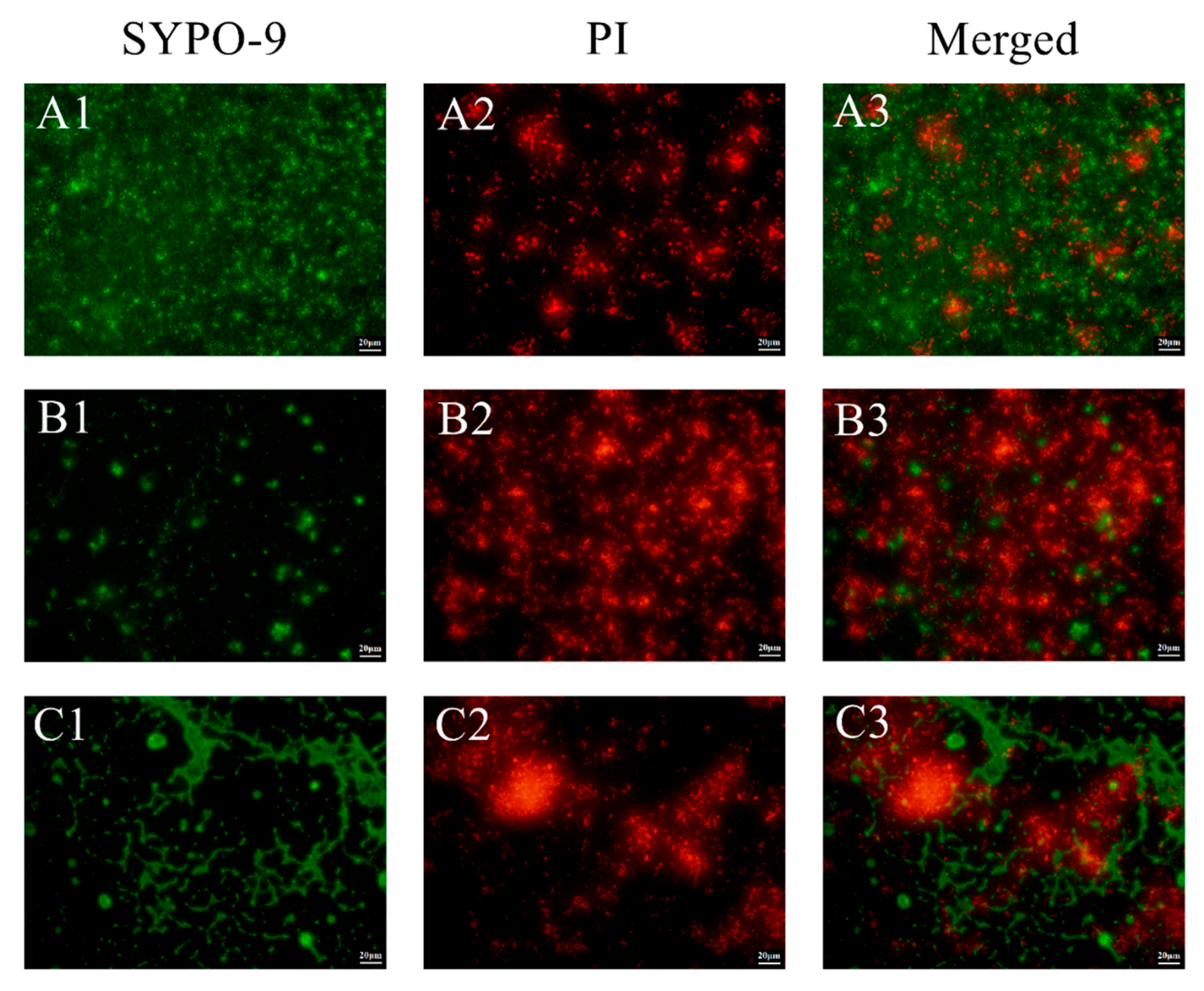 Nutrients 14 02584 g003